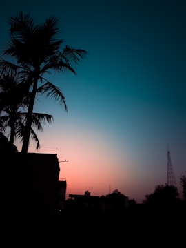 Palm Beach skyline at sunset with digital network overlay.