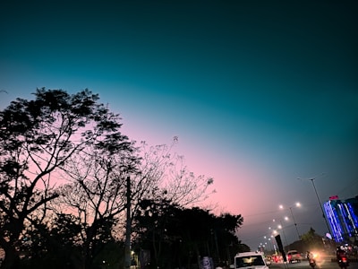 Trees with sparse leaves silhouette against a gradient sky transitioning from dark teal to pink. A road is visible with vehicles, streetlights, and buildings adorned with neon signs.