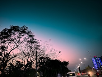 Trees with sparse leaves silhouette against a gradient sky transitioning from dark teal to pink. A road is visible with vehicles, streetlights, and buildings adorned with neon signs.