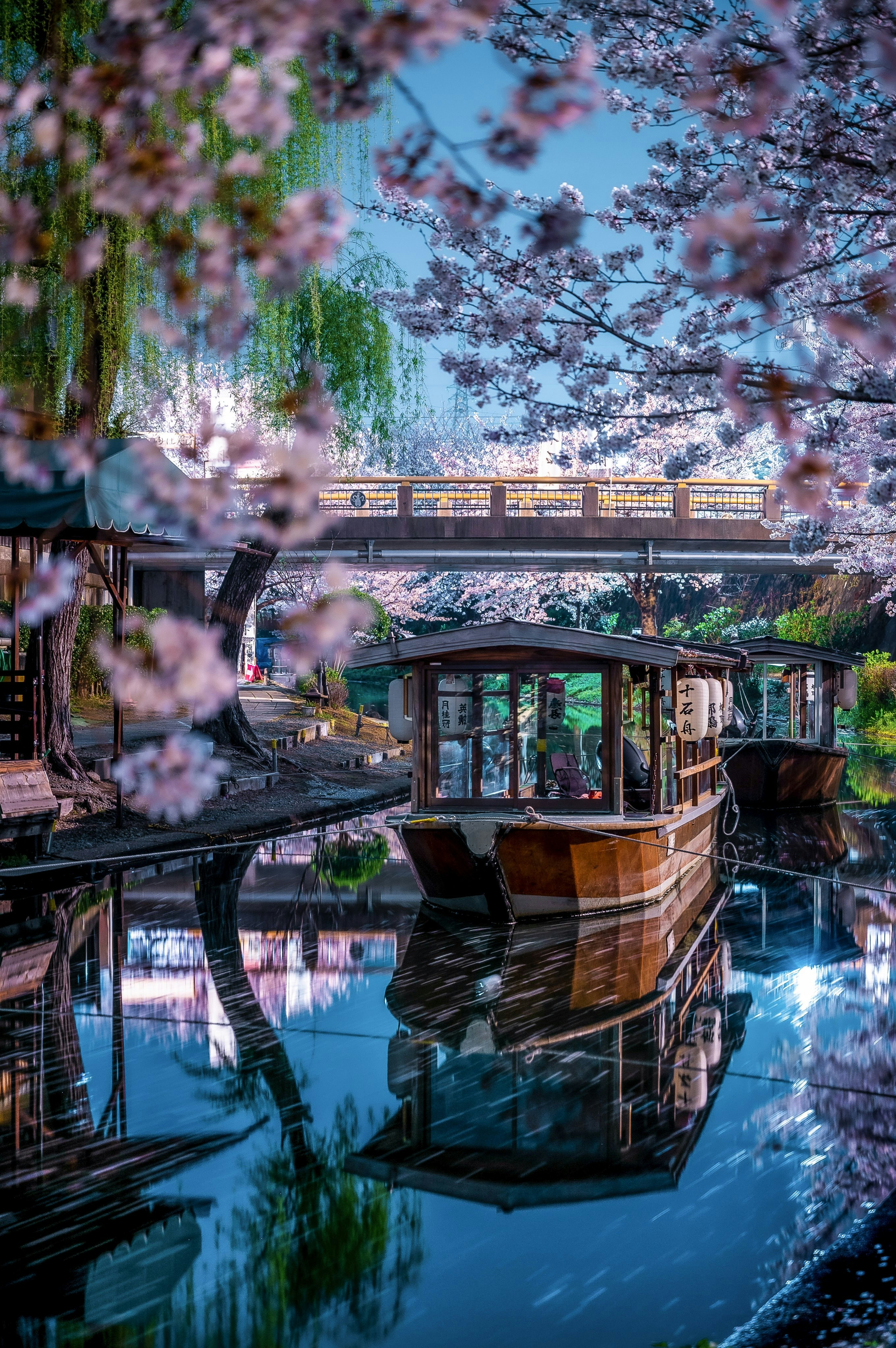 Photo by mrr0bot