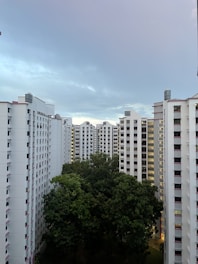 a group of tall white buildings sitting next to each other
