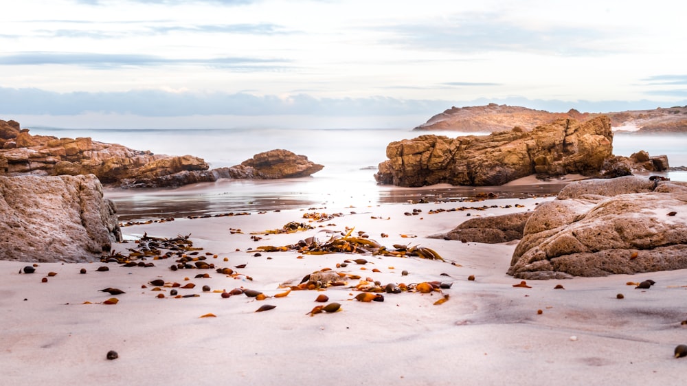 a sandy beach covered in lots of rocks