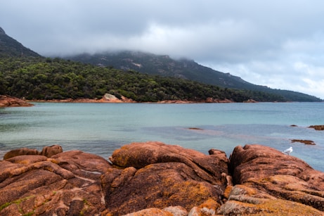 a large body of water surrounded by rocks