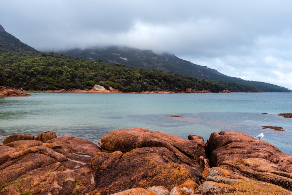 a large body of water surrounded by rocks