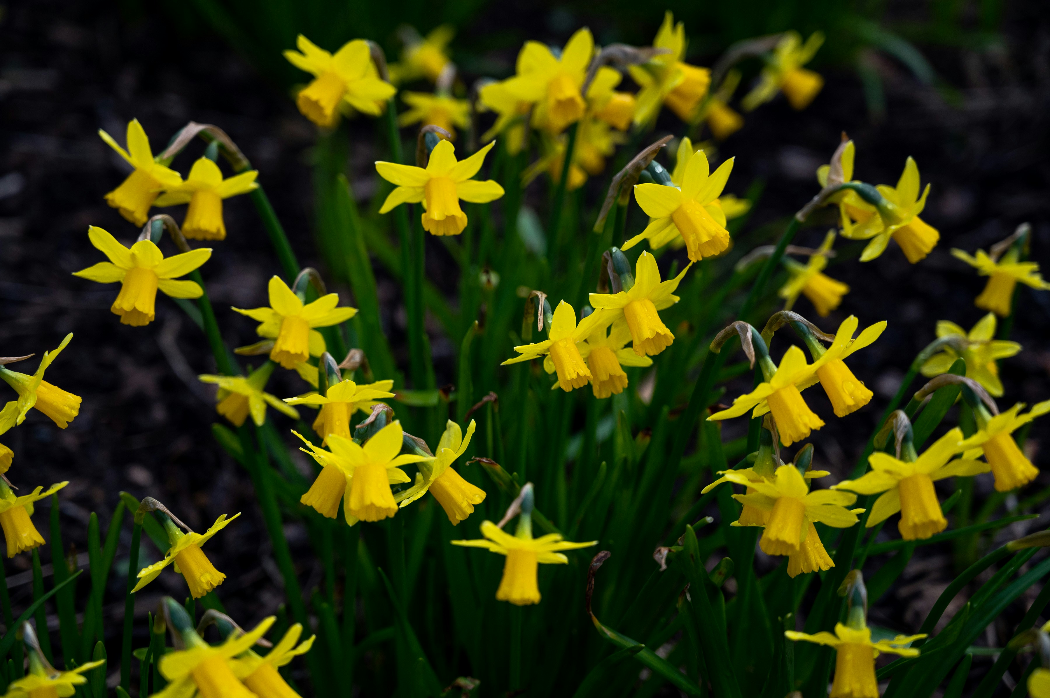 Photo by phoenix_2022