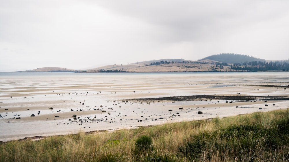 a large body of water sitting next to a lush green hillside