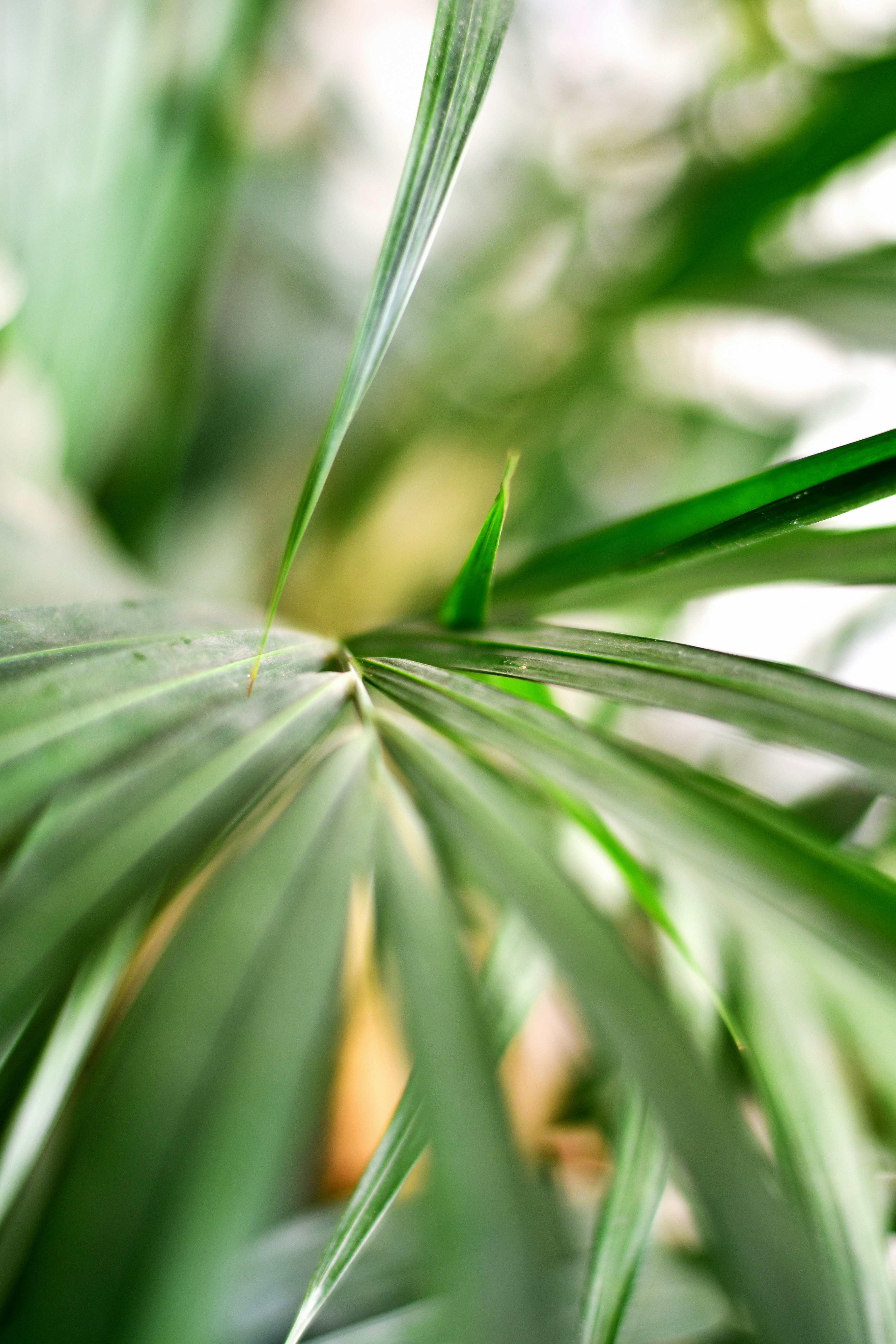 Photo by skypeople101