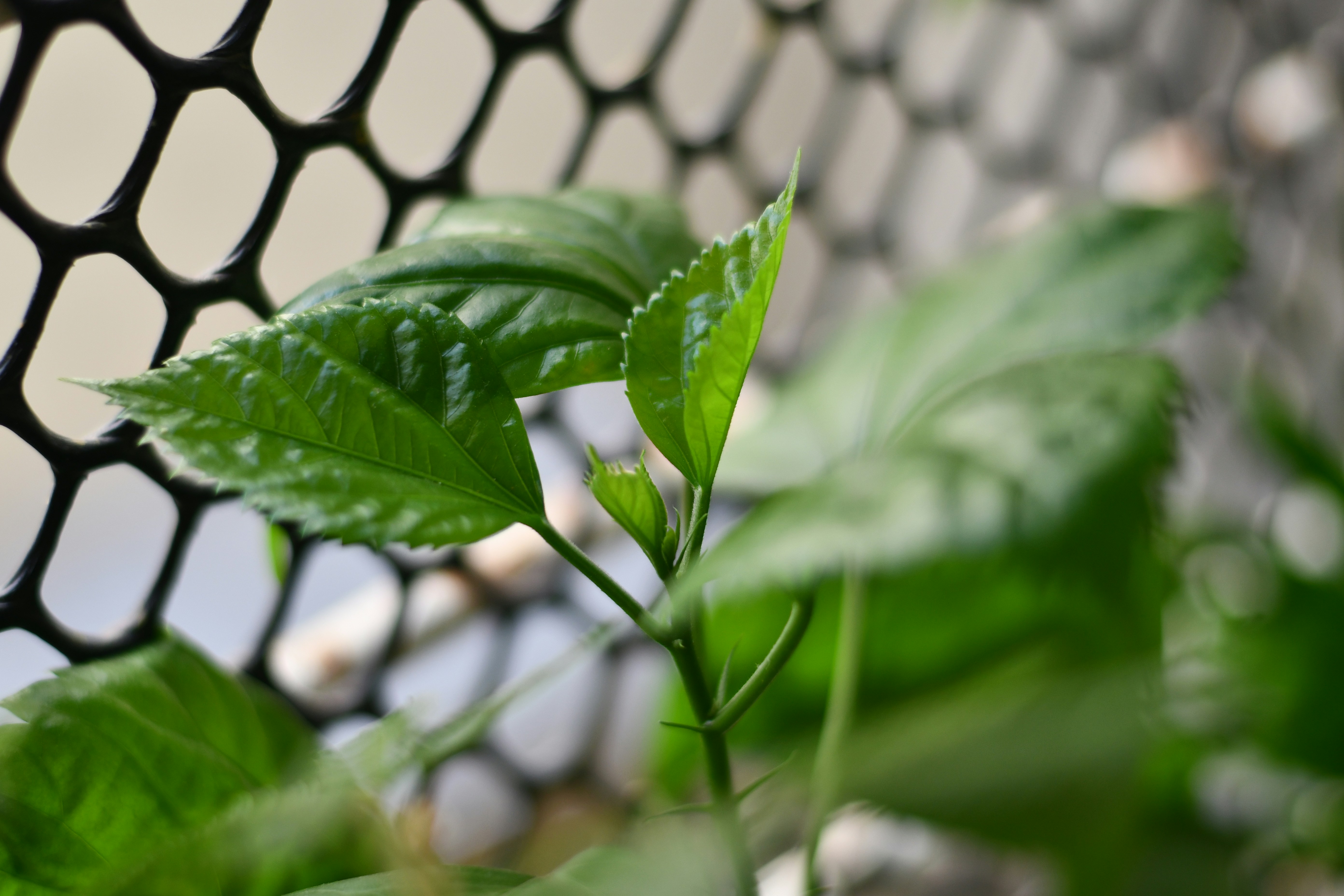 Photo by skypeople101