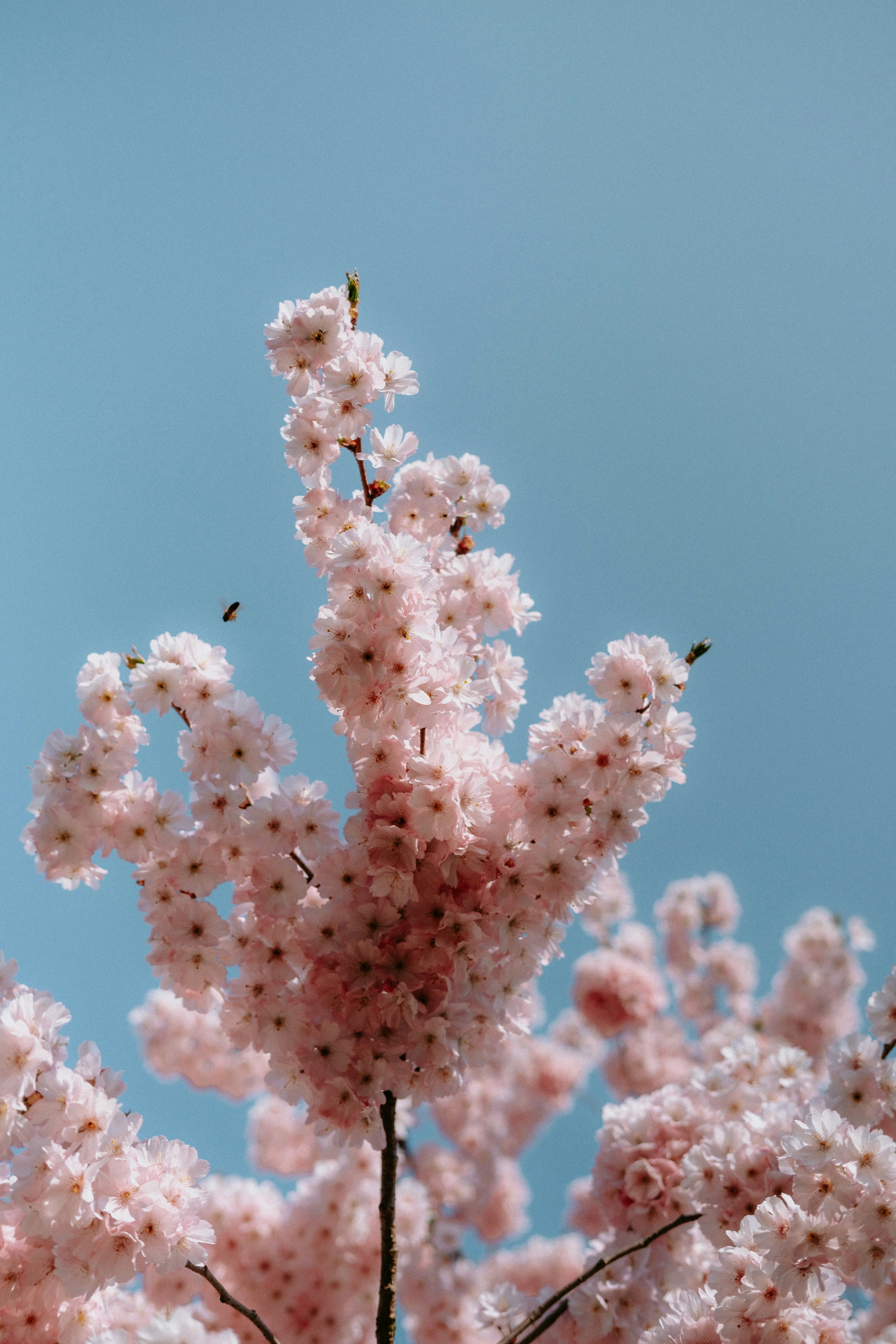 Photo by matreding
