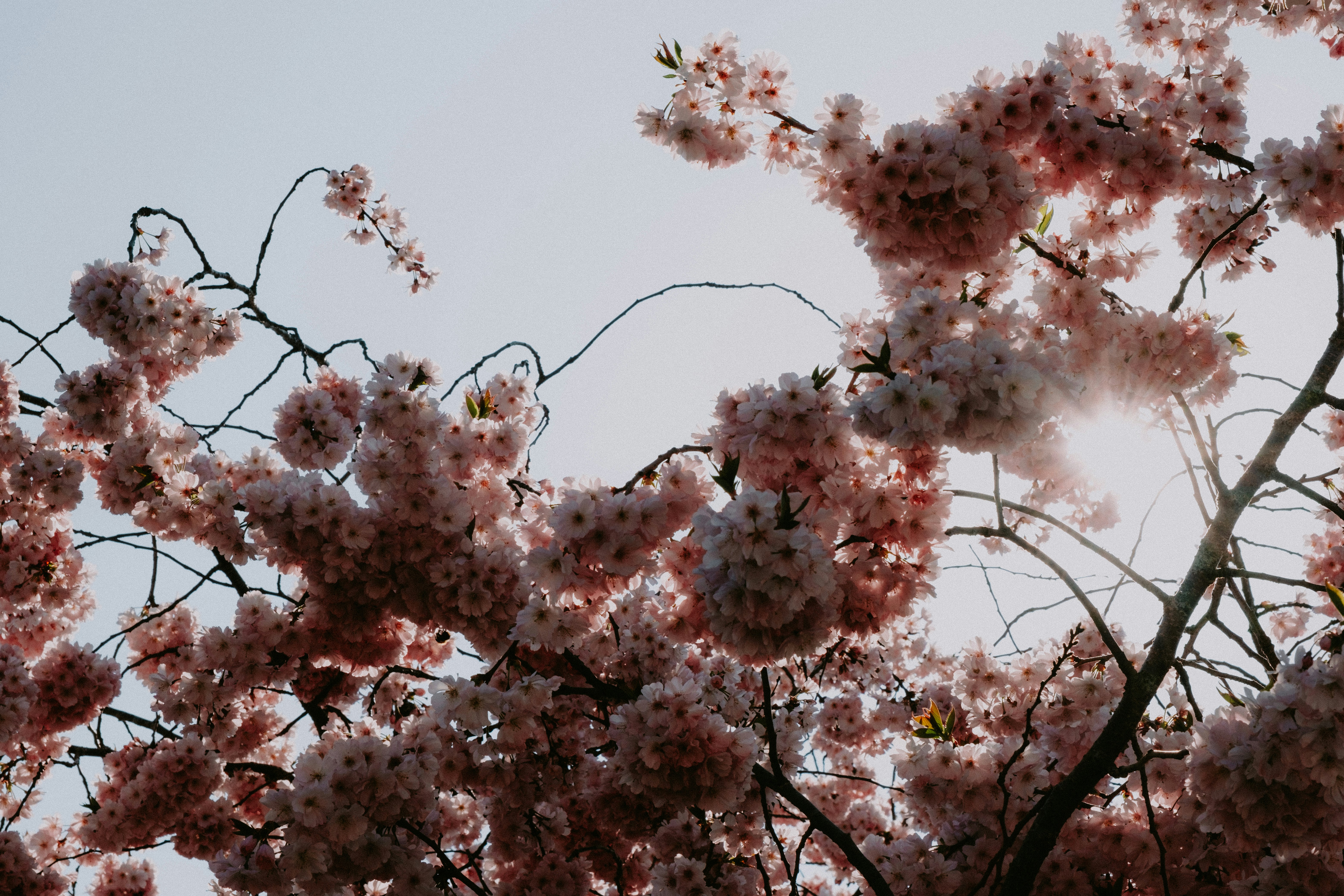 Photo by matreding