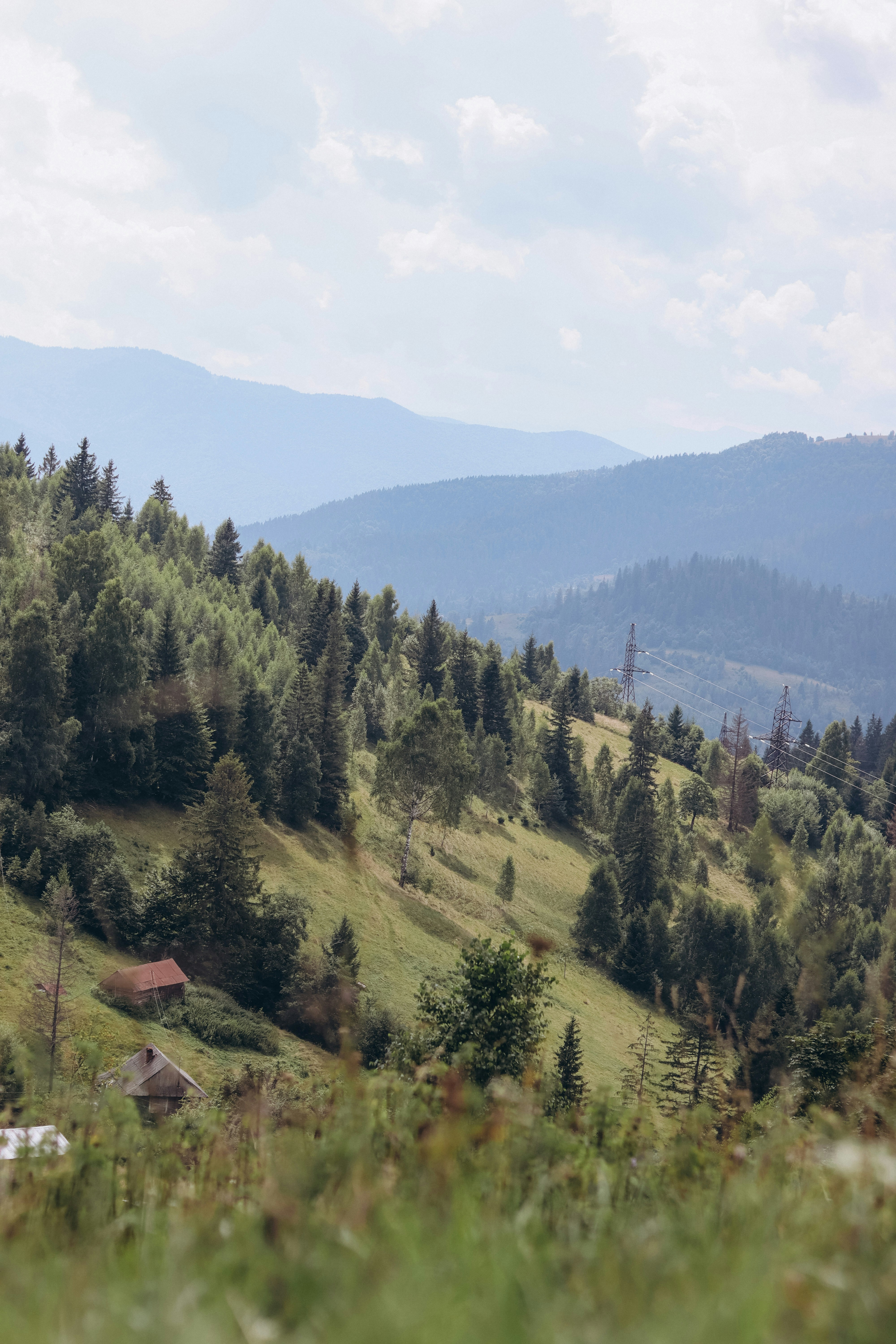 Photo by juli_ivanina