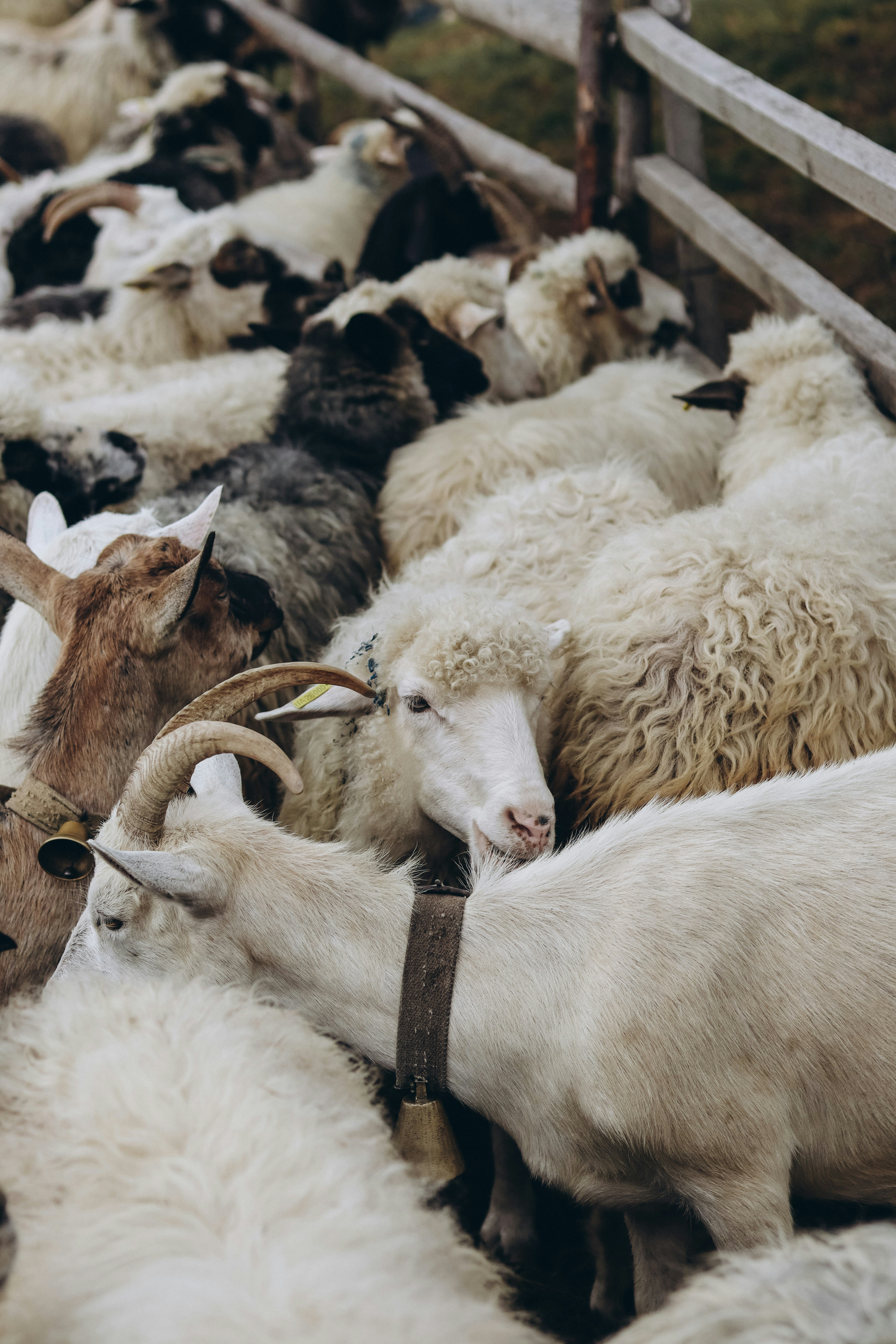 Photo by juli_ivanina