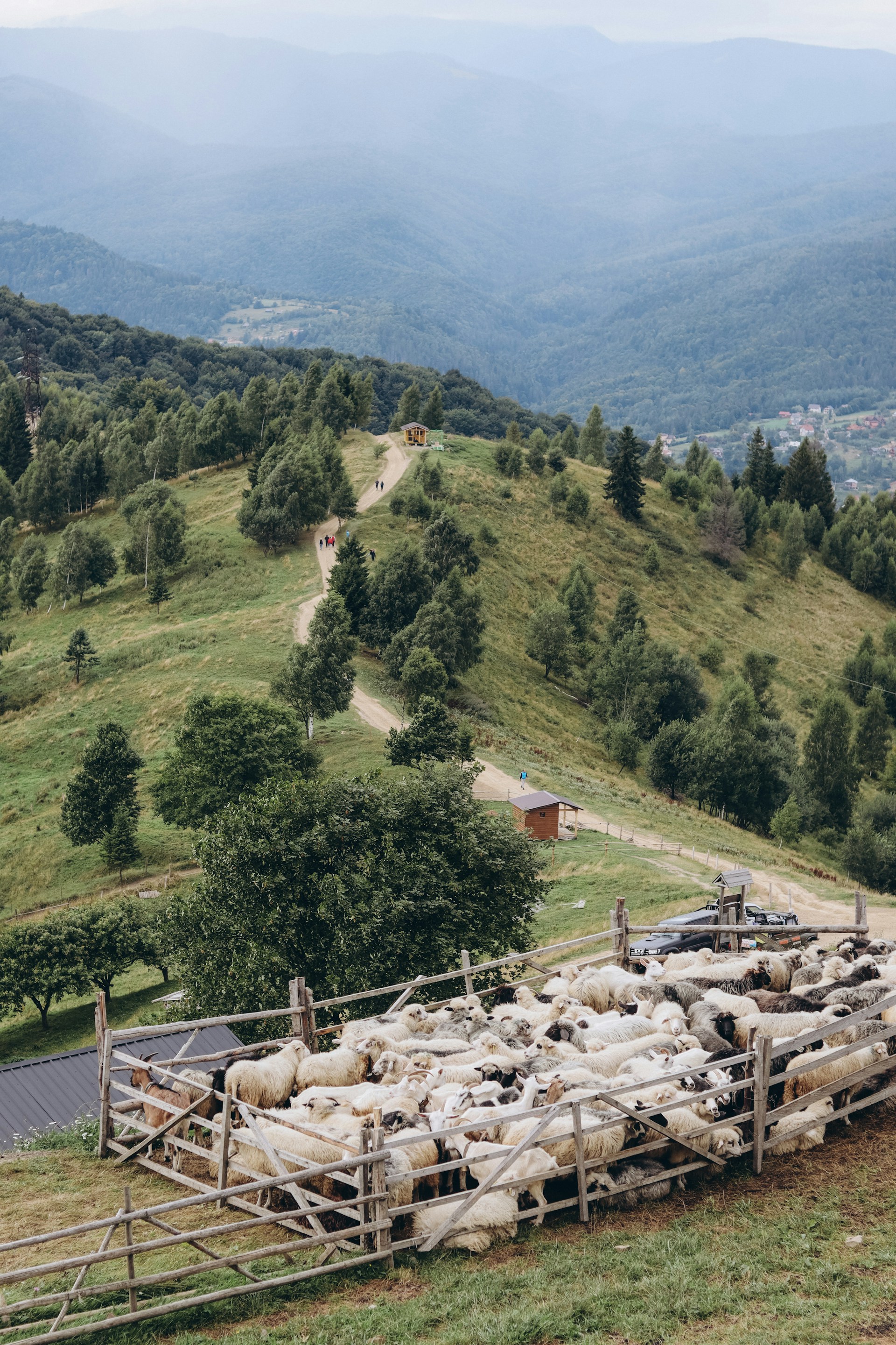 gray computer monitor