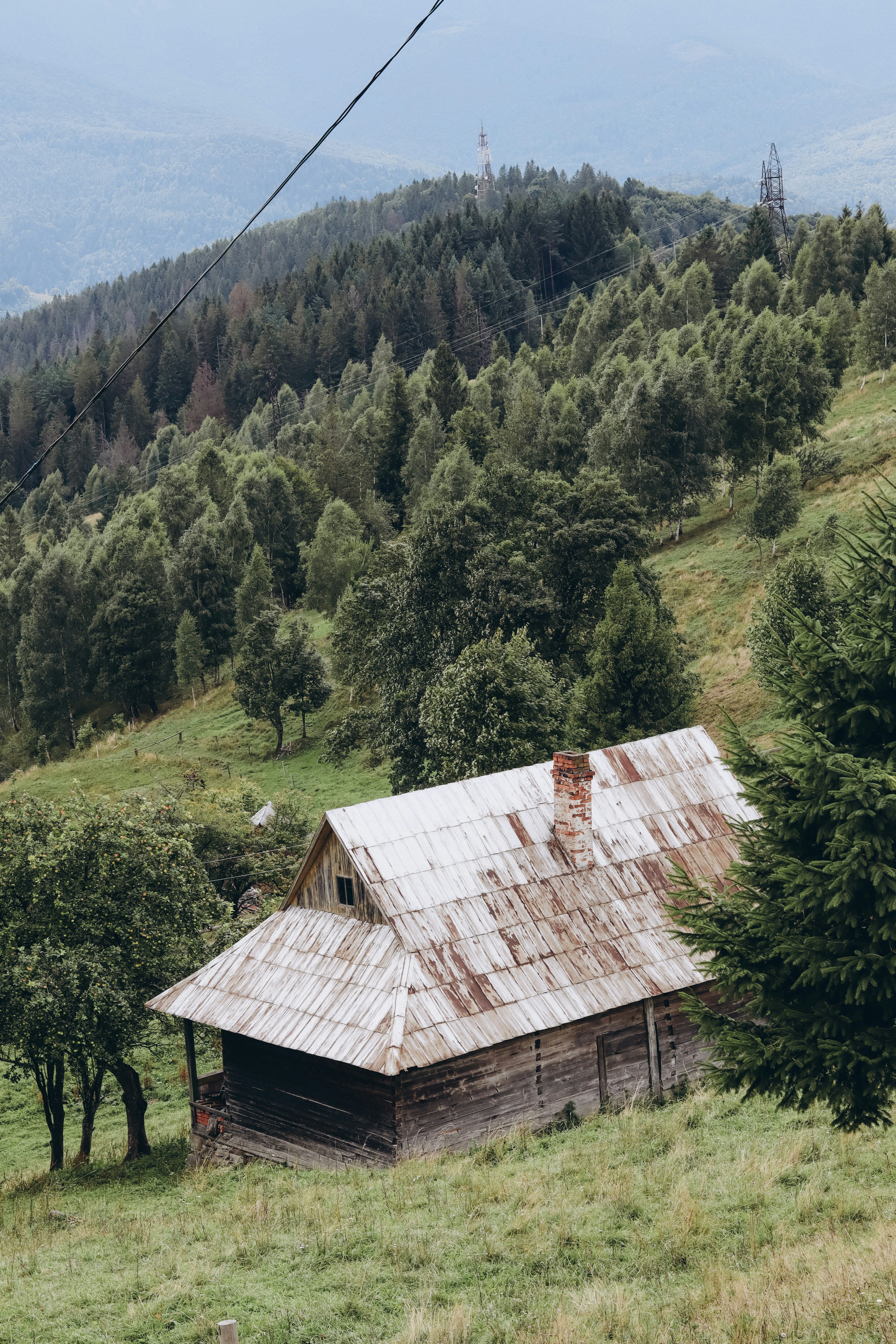 Photo by juli_ivanina