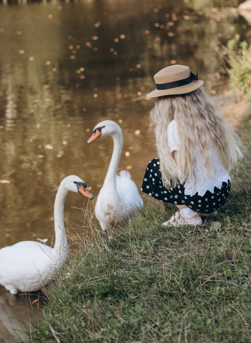 a woman sitting on the grass next to two swans