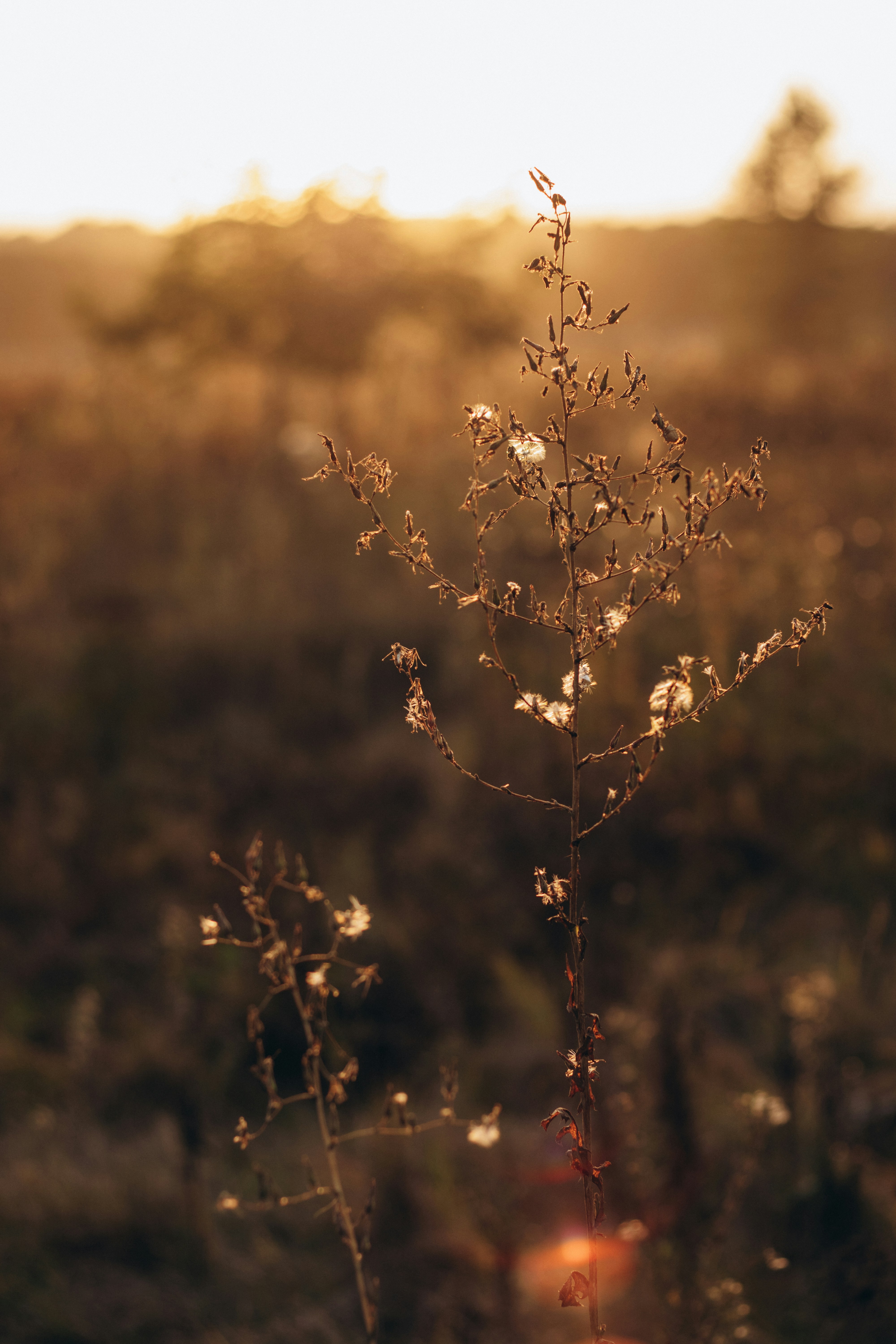 Photo by juli_ivanina