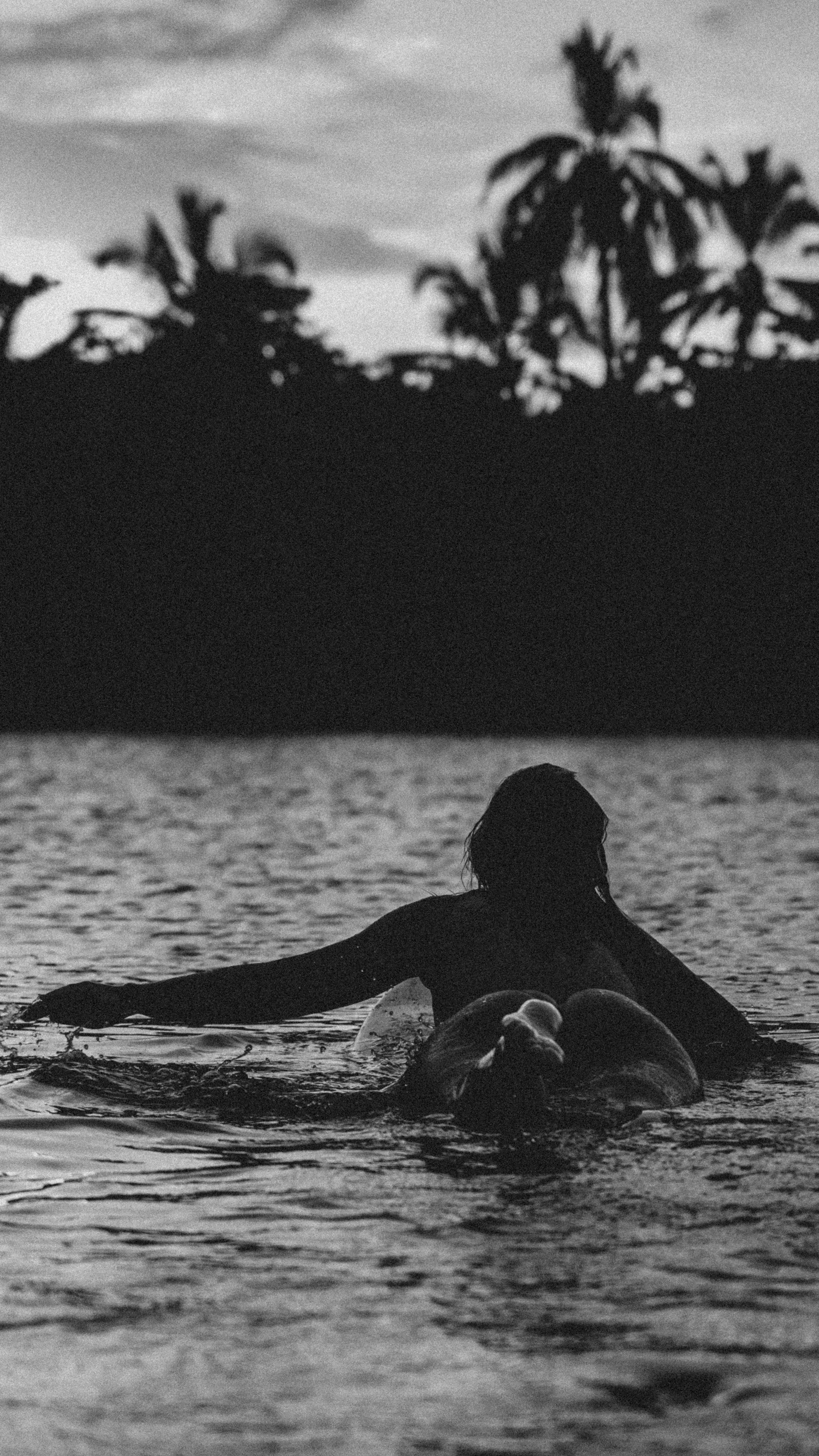 Photo by michielannaert