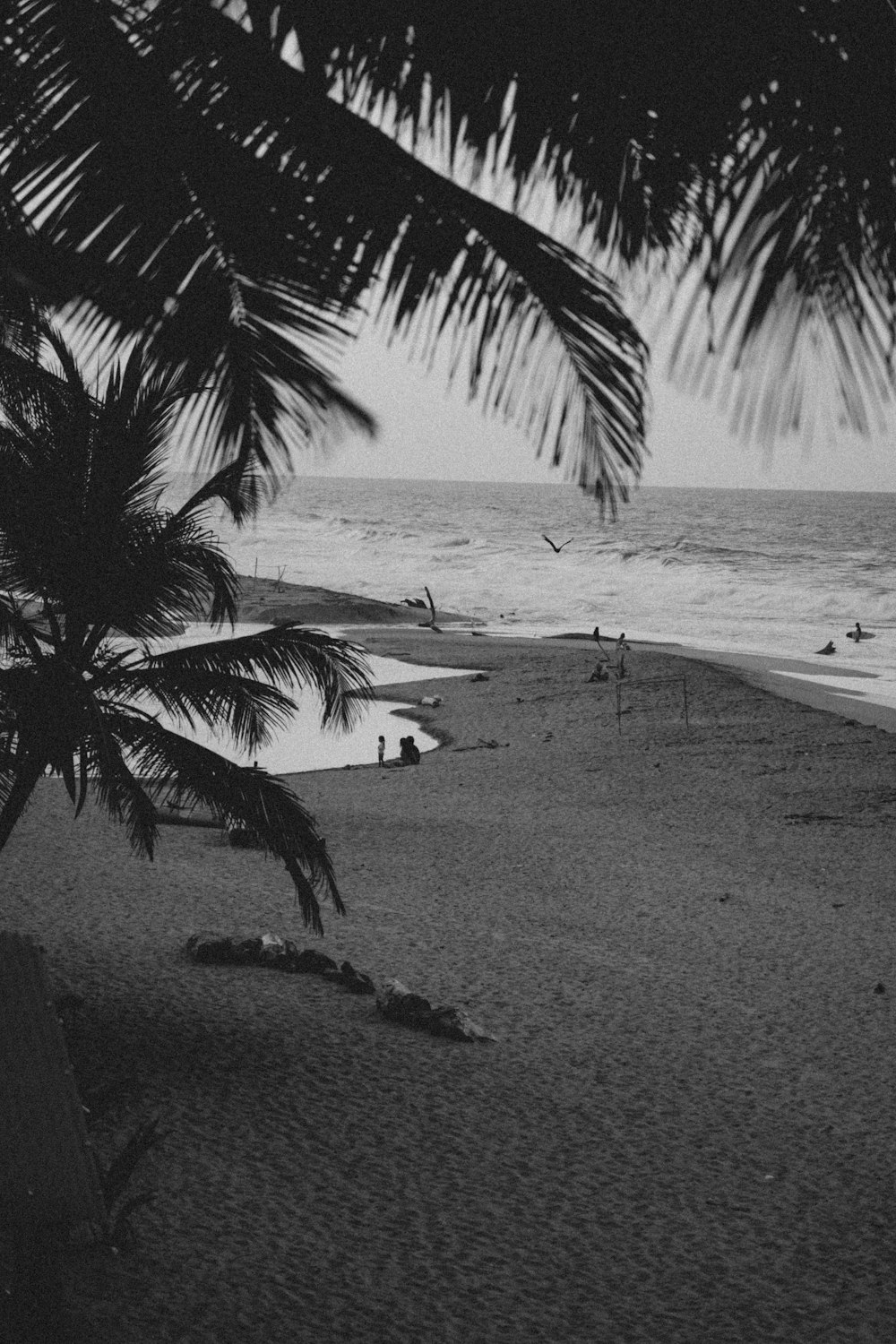 a black and white photo of a beach