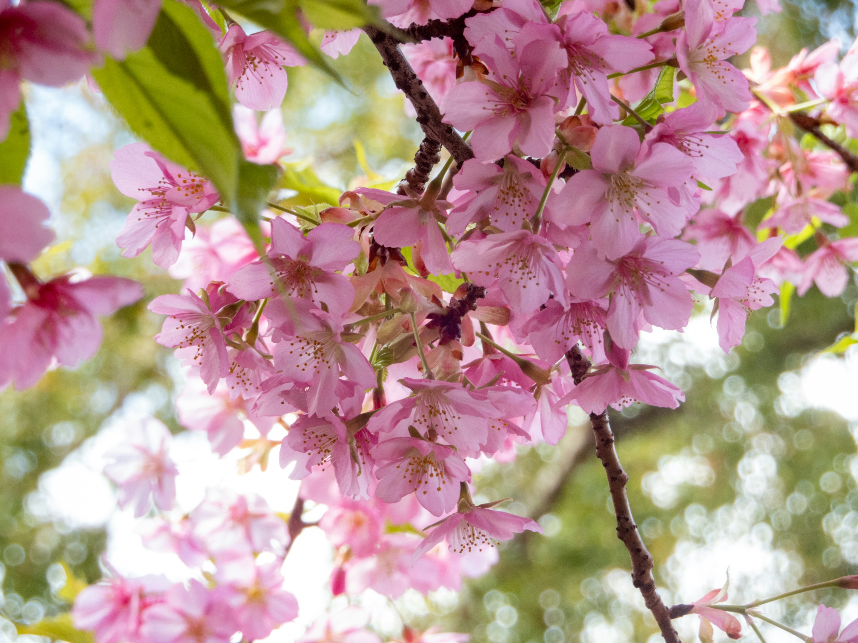 Photo by heppoko_yama