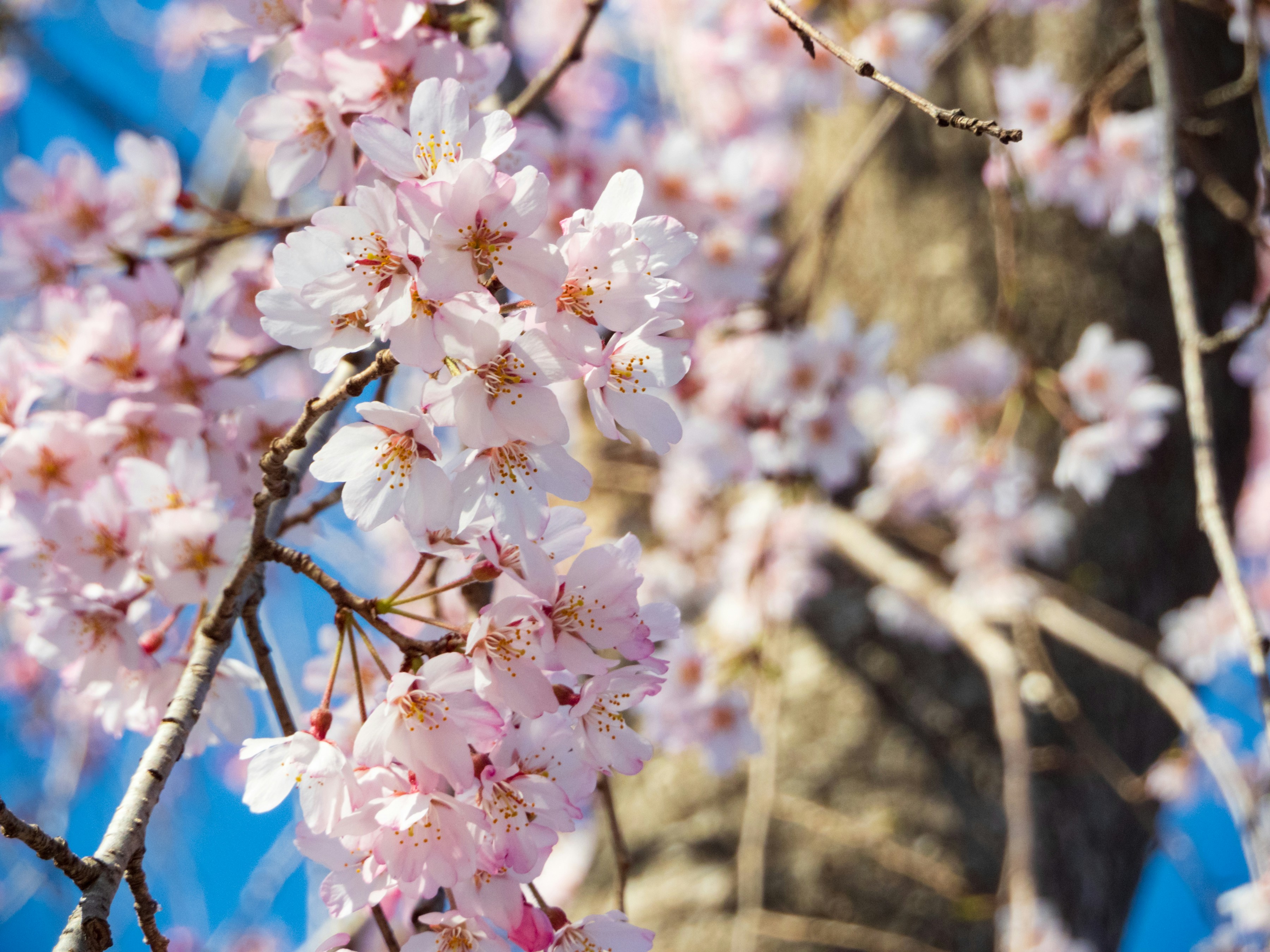 Photo by heppoko_yama