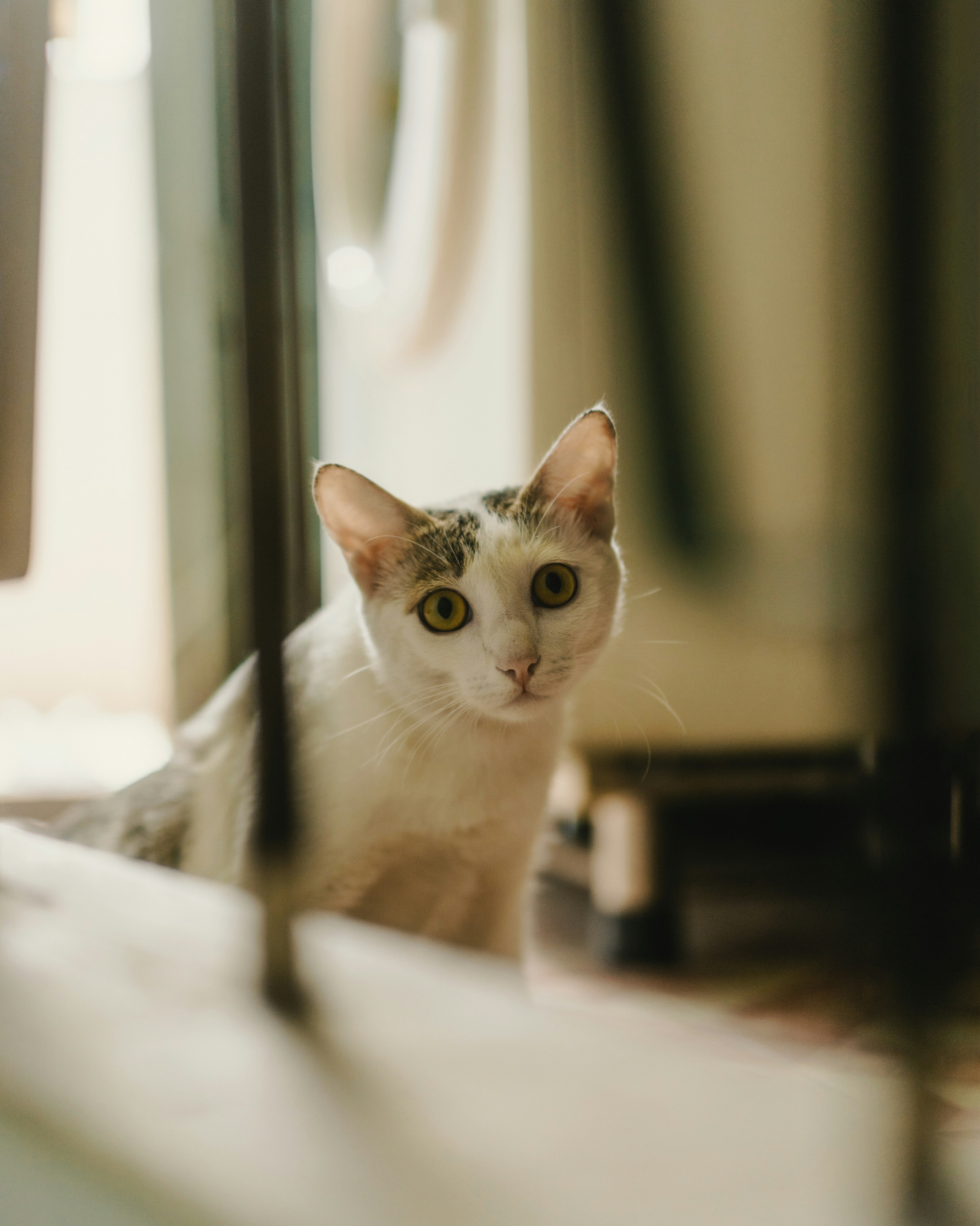 Photo by thuyenphoto