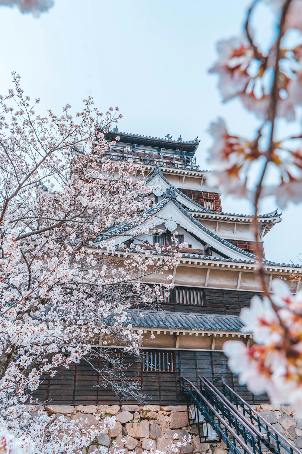 a tall building with a tree in front of it