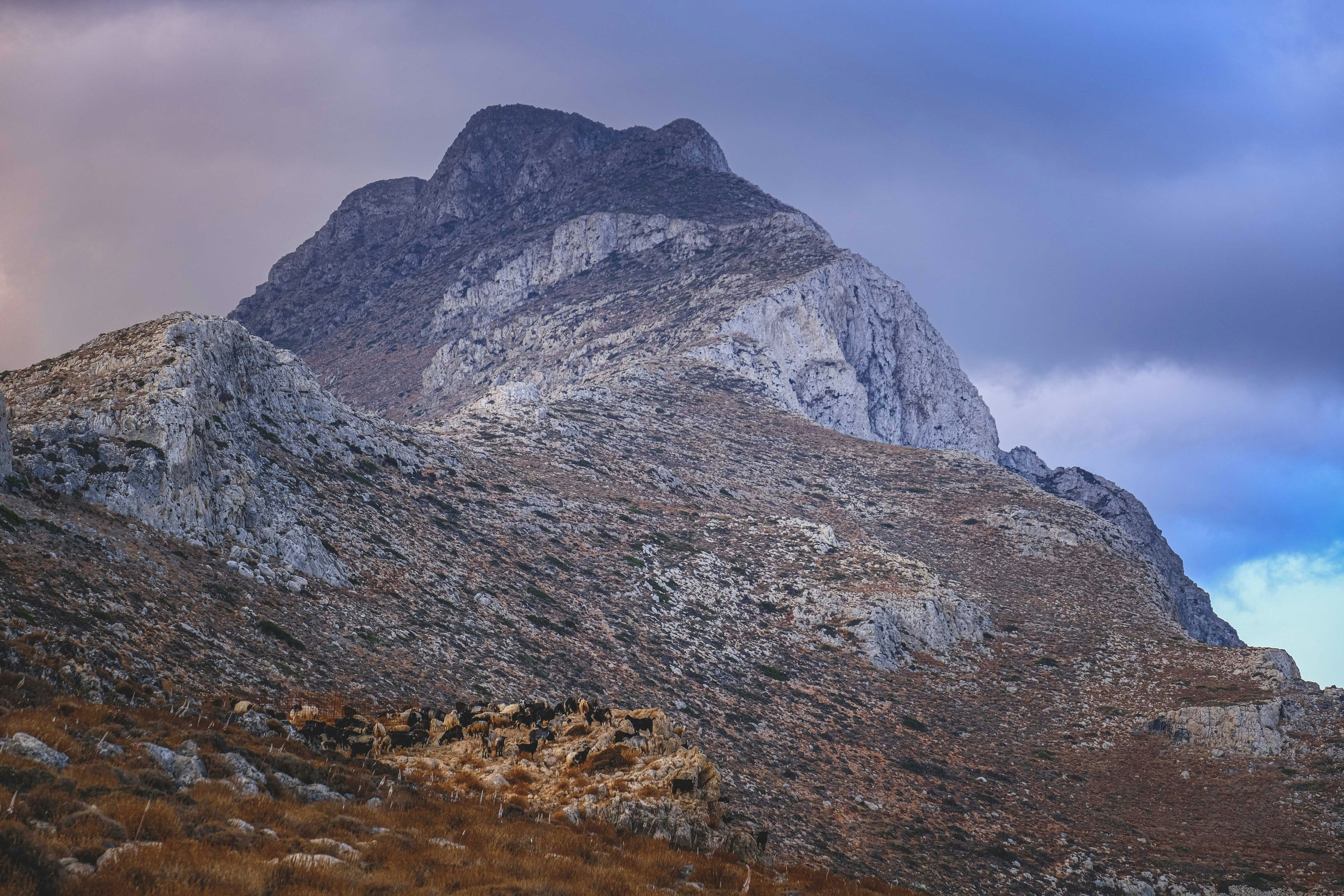 Photo by francesco_ungaro