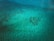 Underwater drone inspecting a marine structure in clear blue water