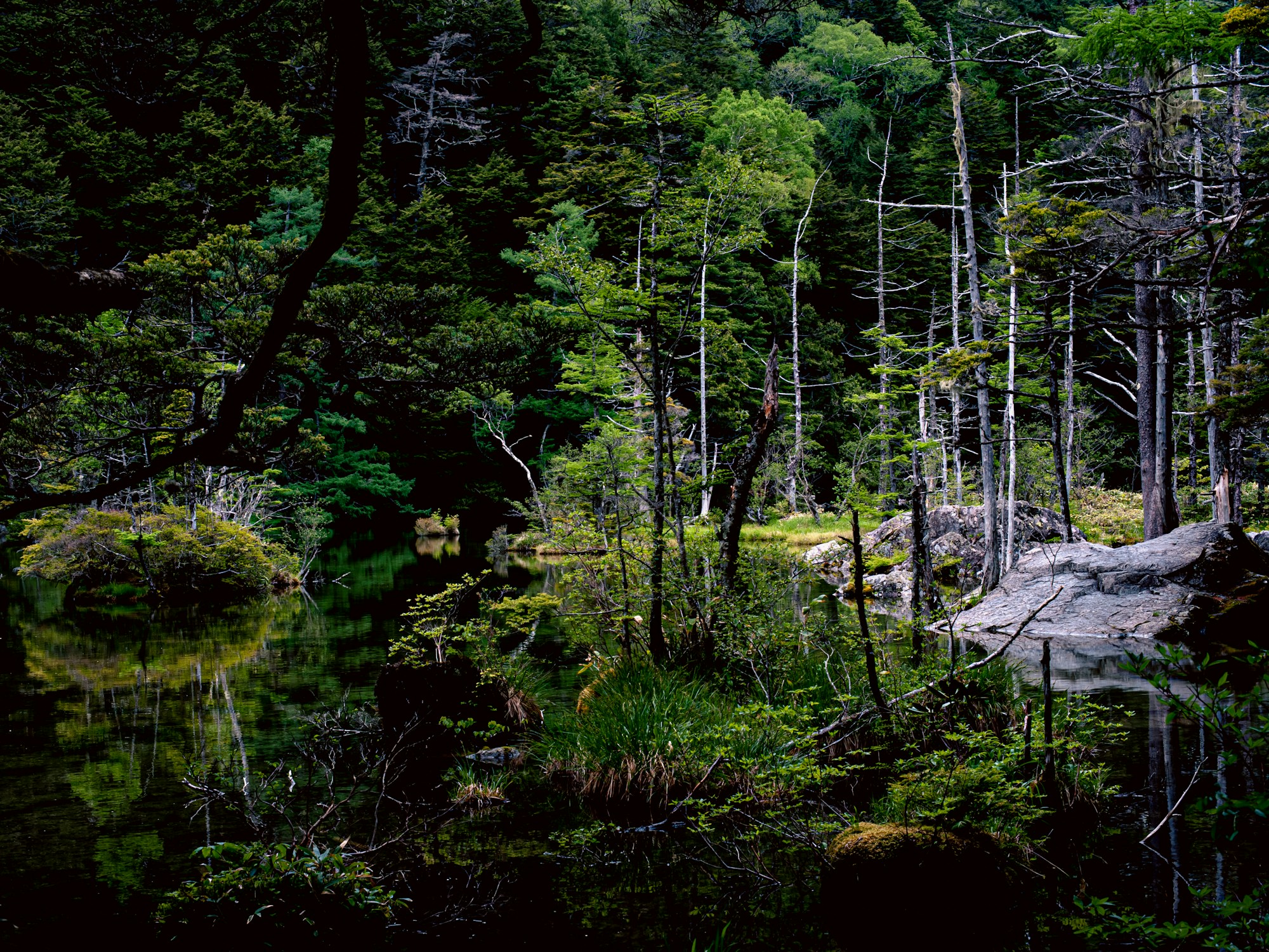 Exploring Kamikochi: Local Cuisine and Traditional Dishes