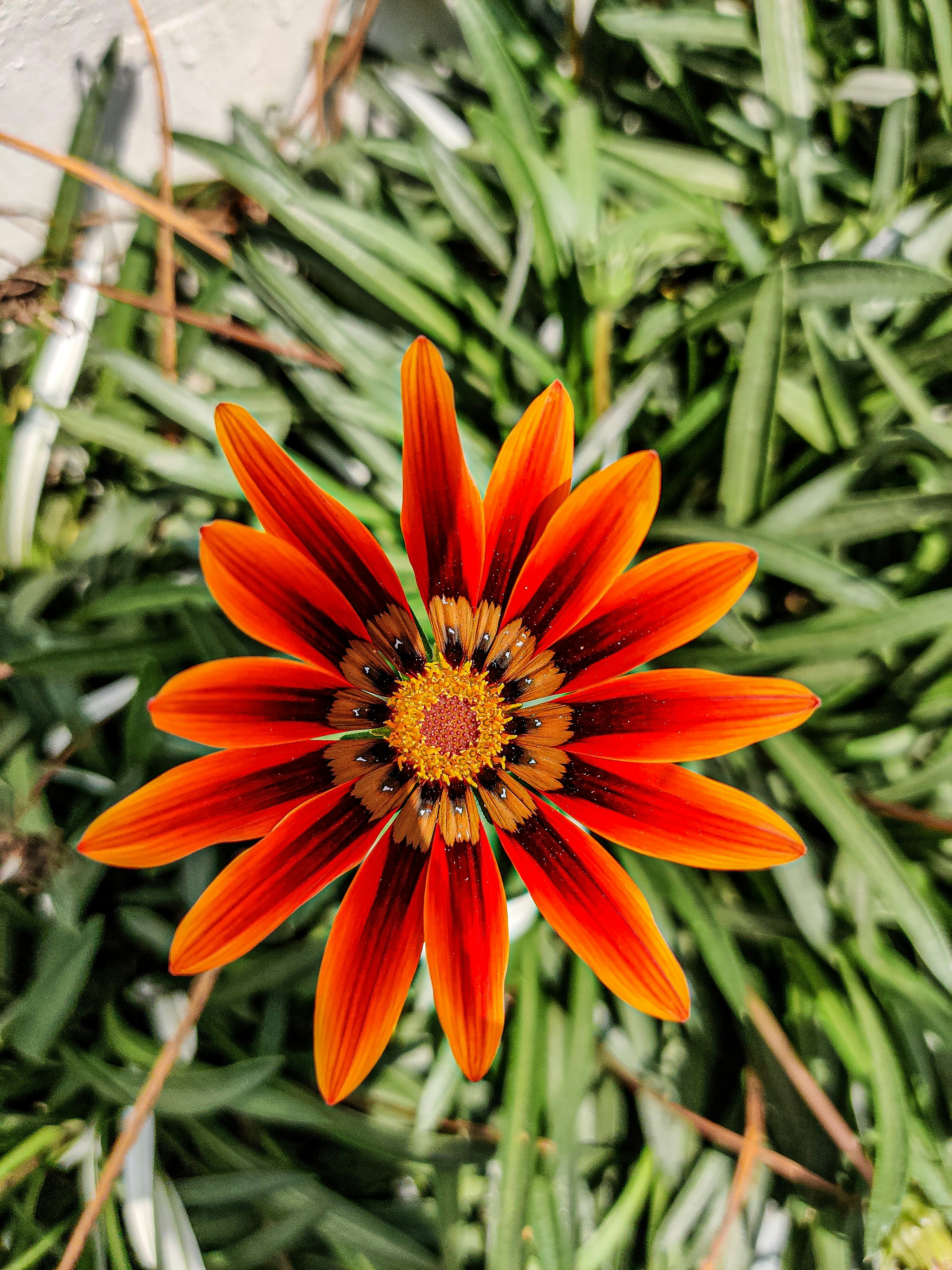 Photo by roopak_kujur46