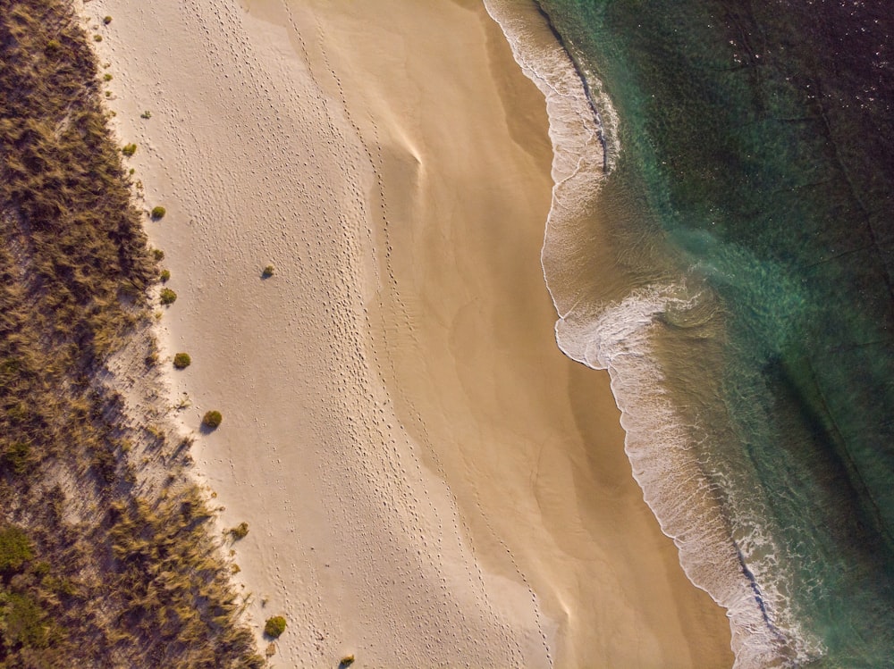 an aerial view of a sandy beach and ocean