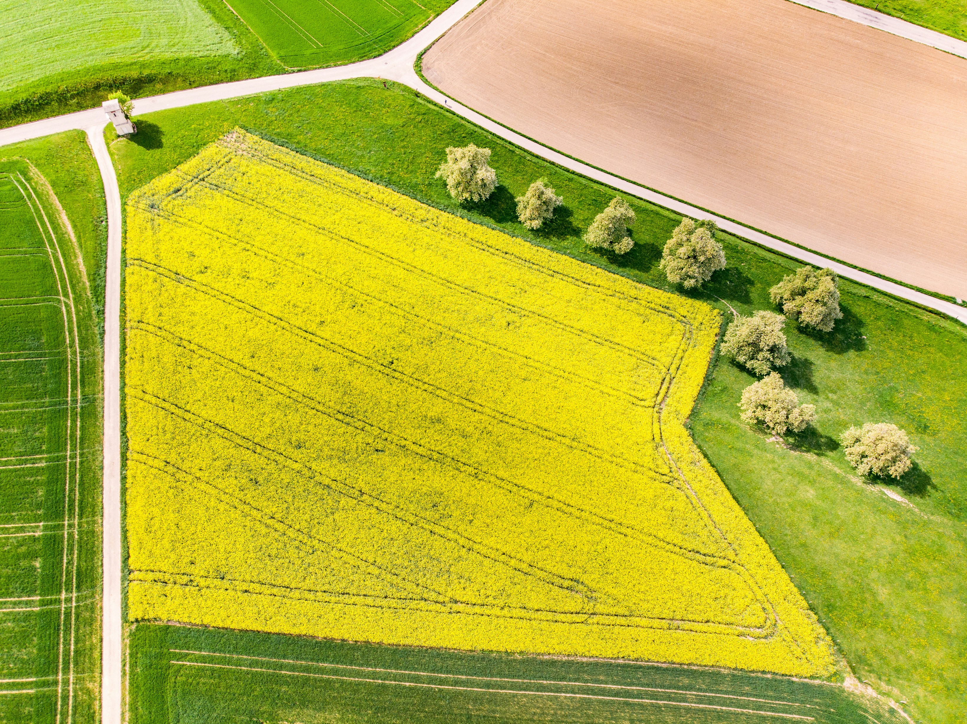 Photo by ricofotografie