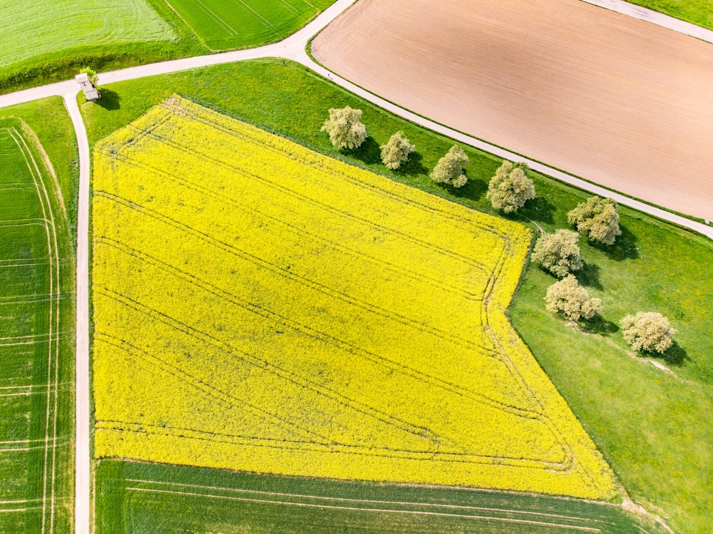 an aerial view of a field with trees and a road