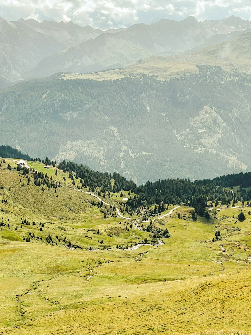 a grassy valley with mountains in the background