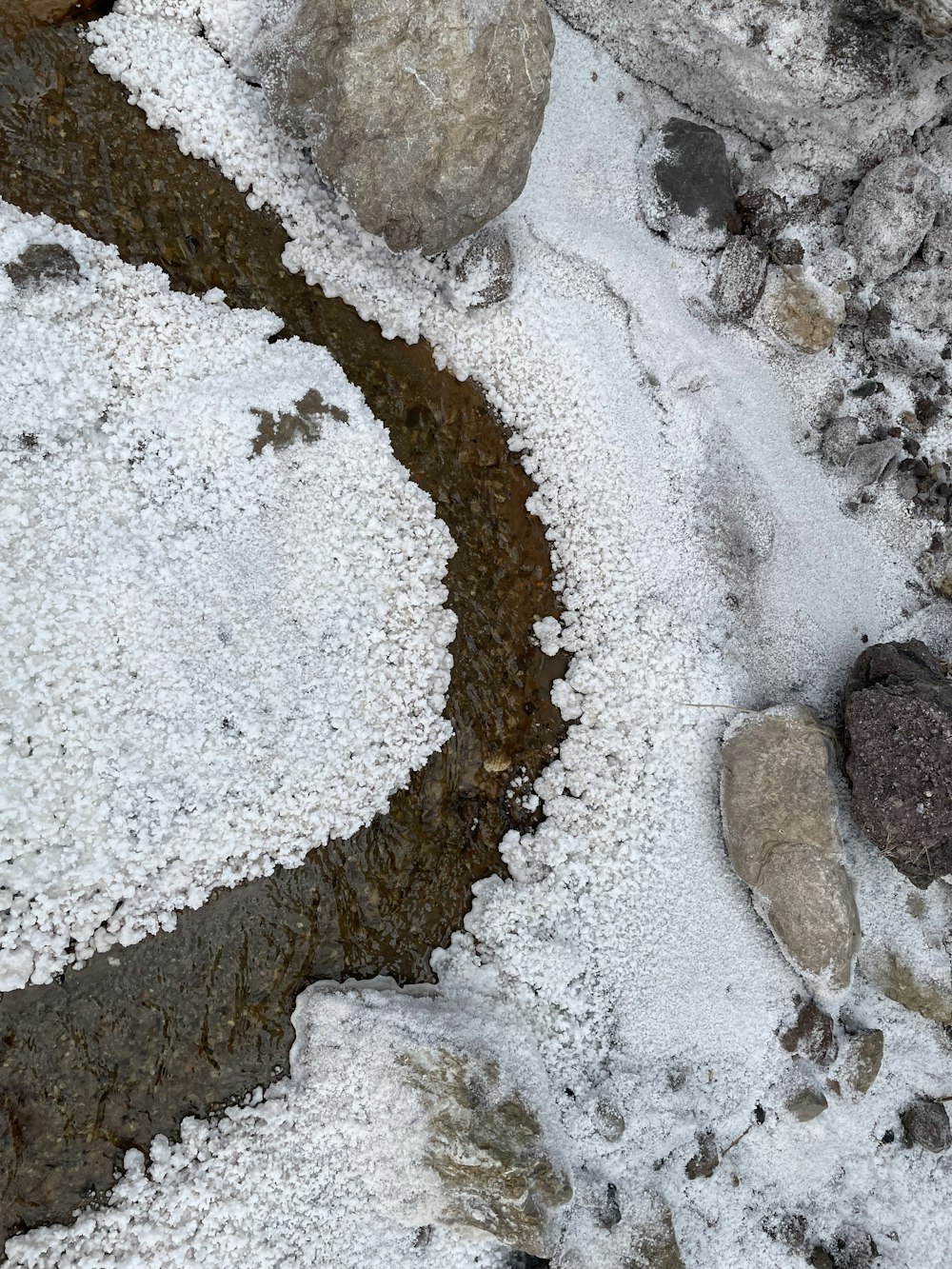 a bird is sitting on a rock in the snow