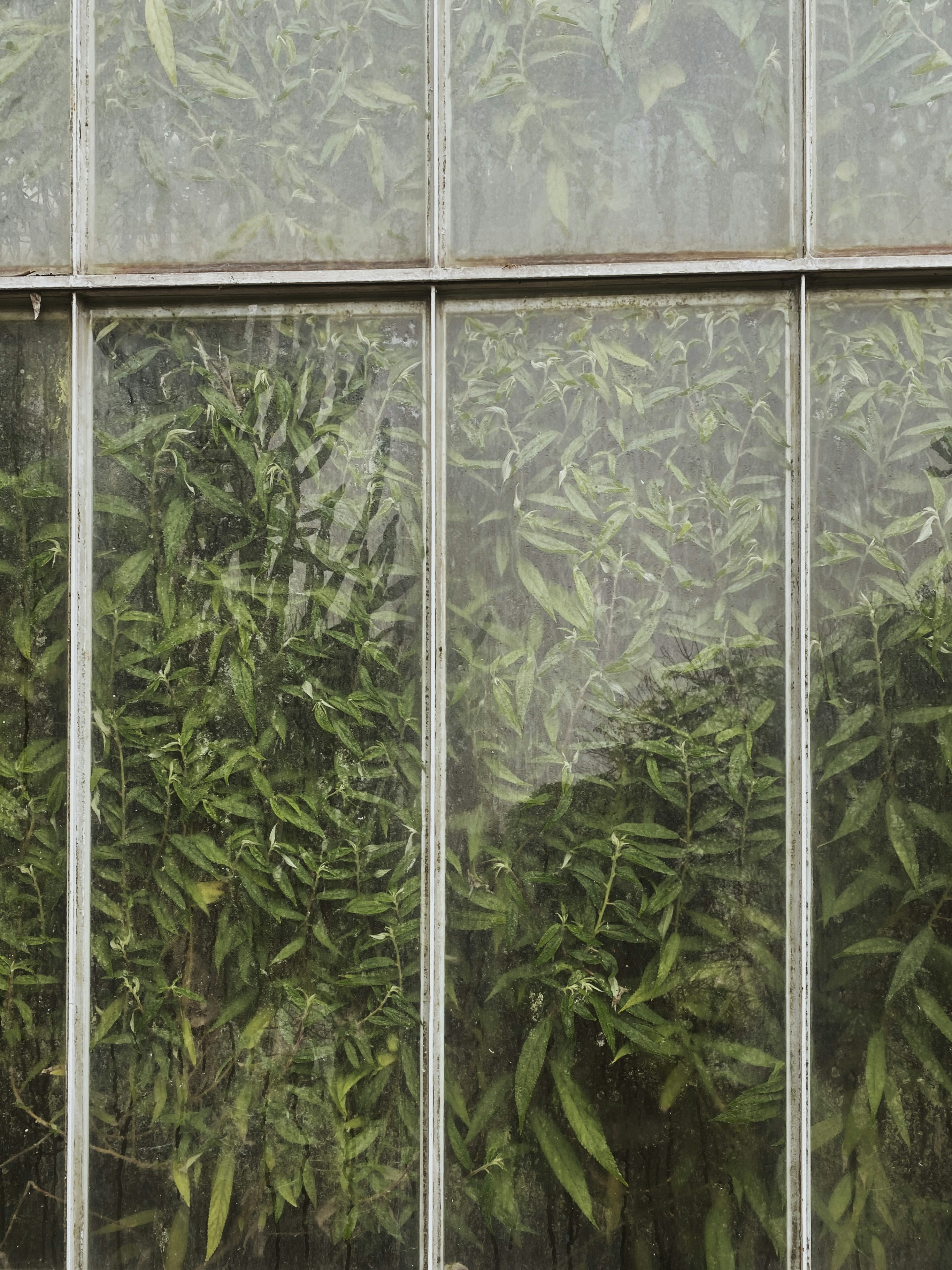 Photo by weronikajanas