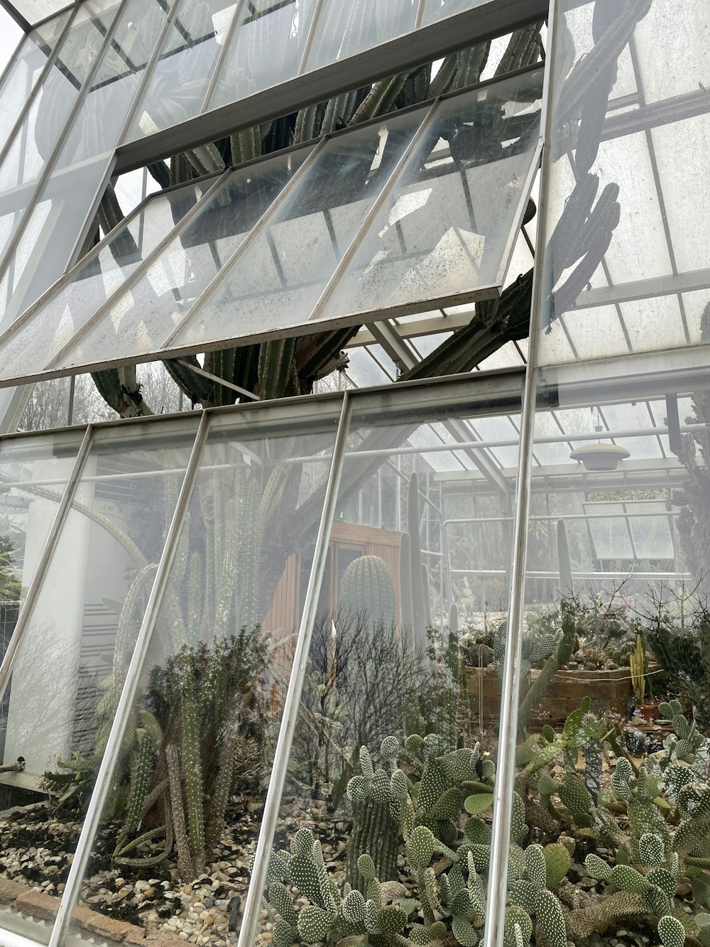 a greenhouse filled with lots of different types of plants