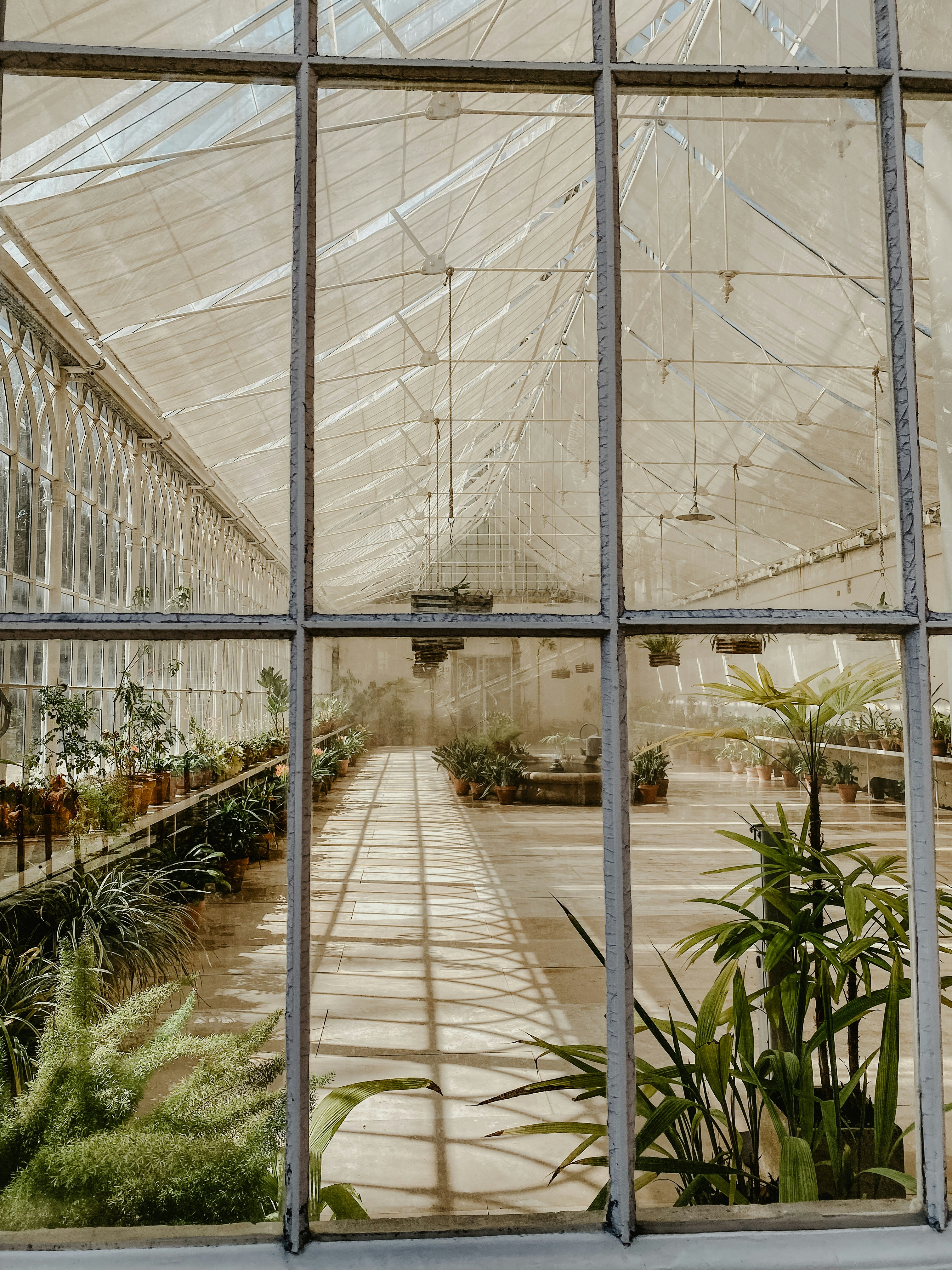 Photo by weronikajanas