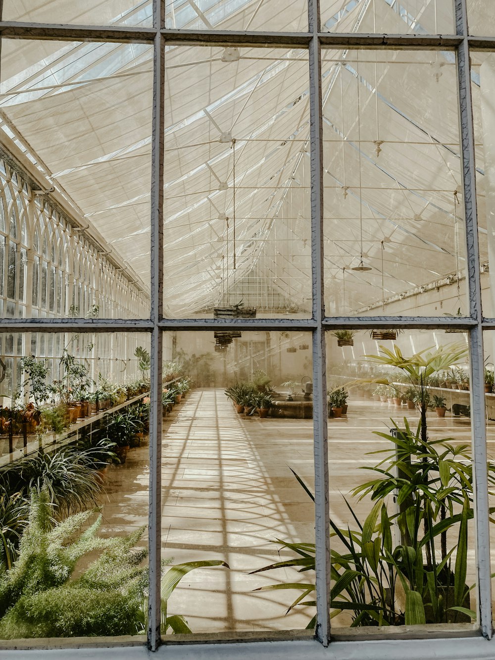 a window with a view of a greenhouse