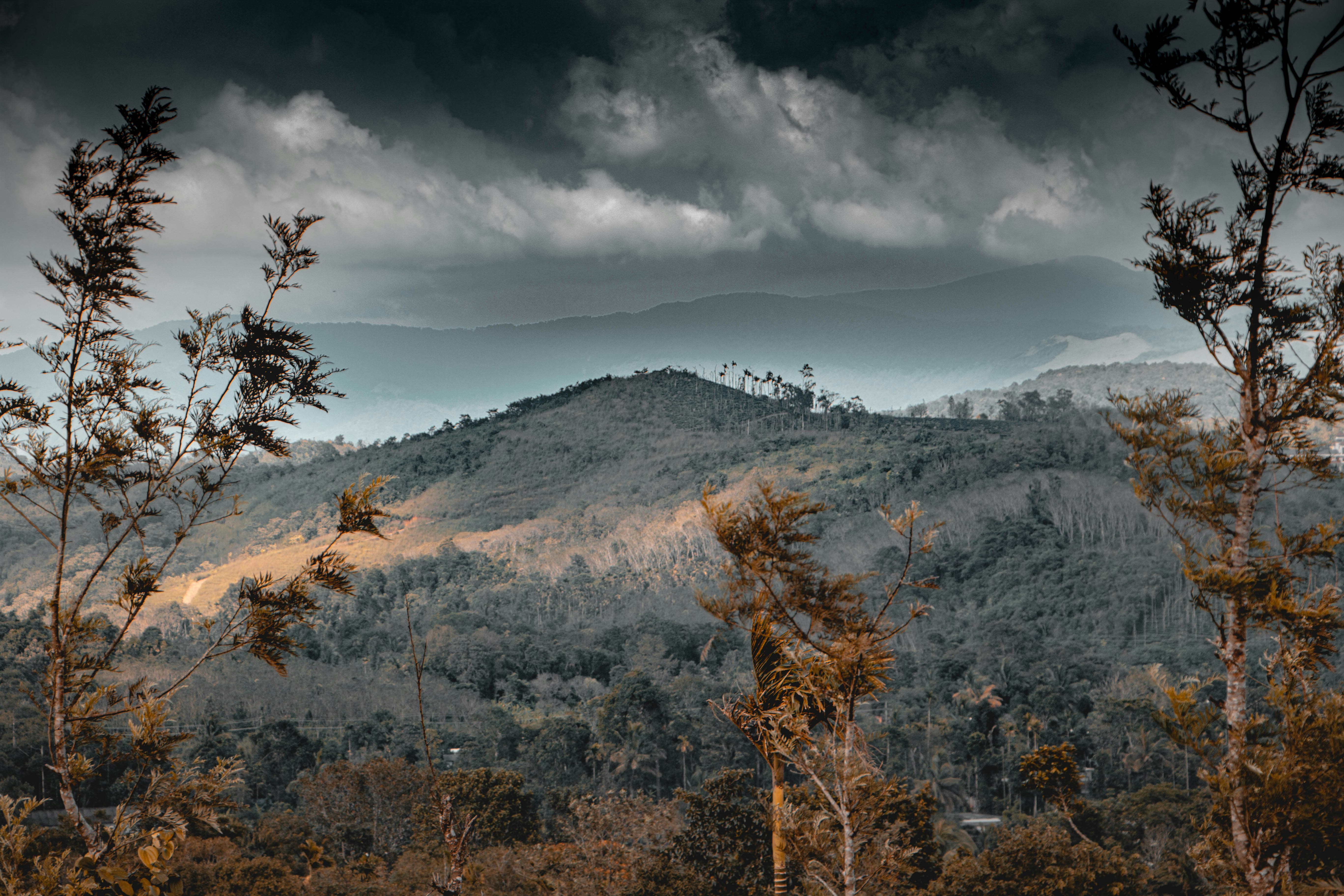 Photo by rishabh_mathew