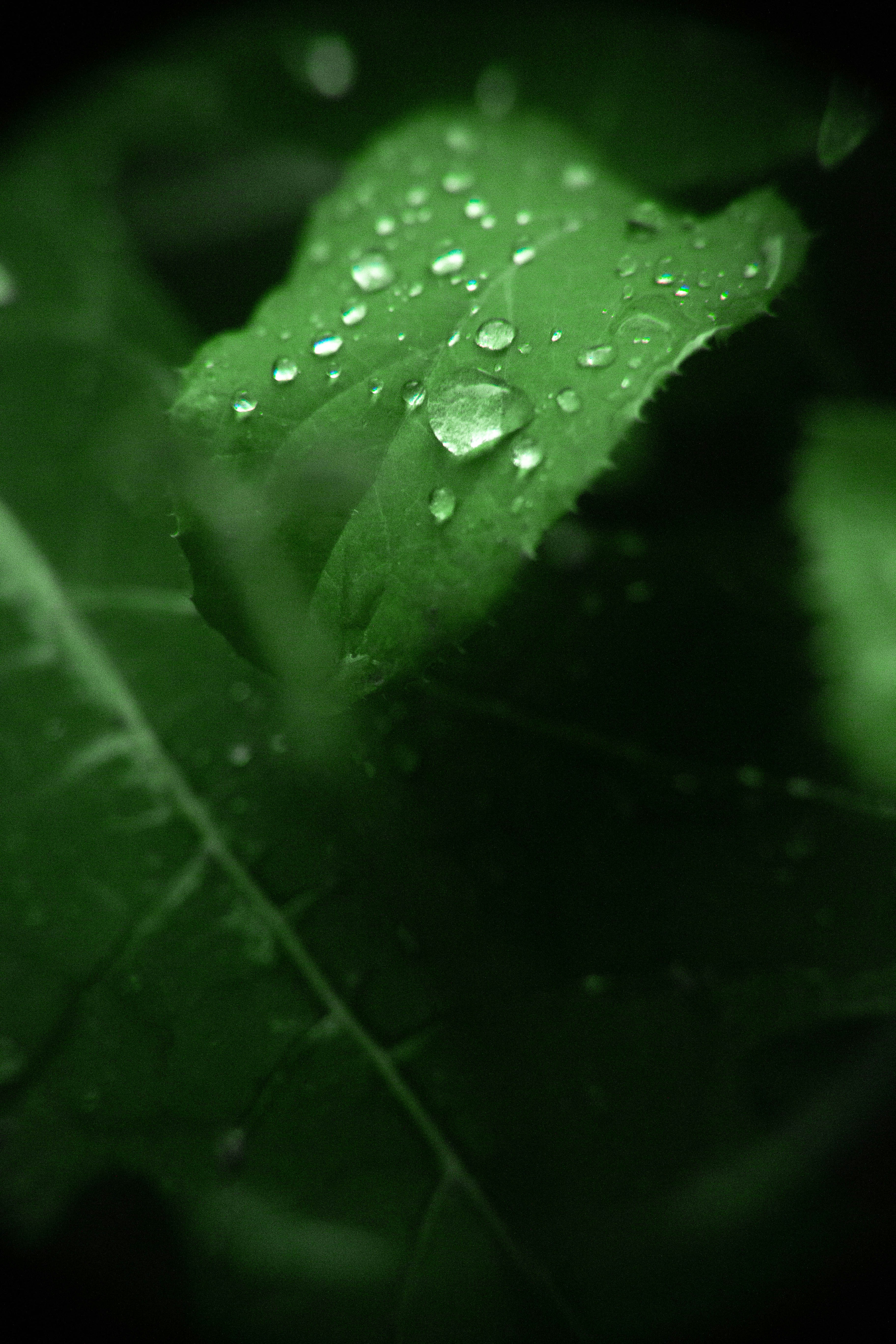 Photo by rishabh_mathew