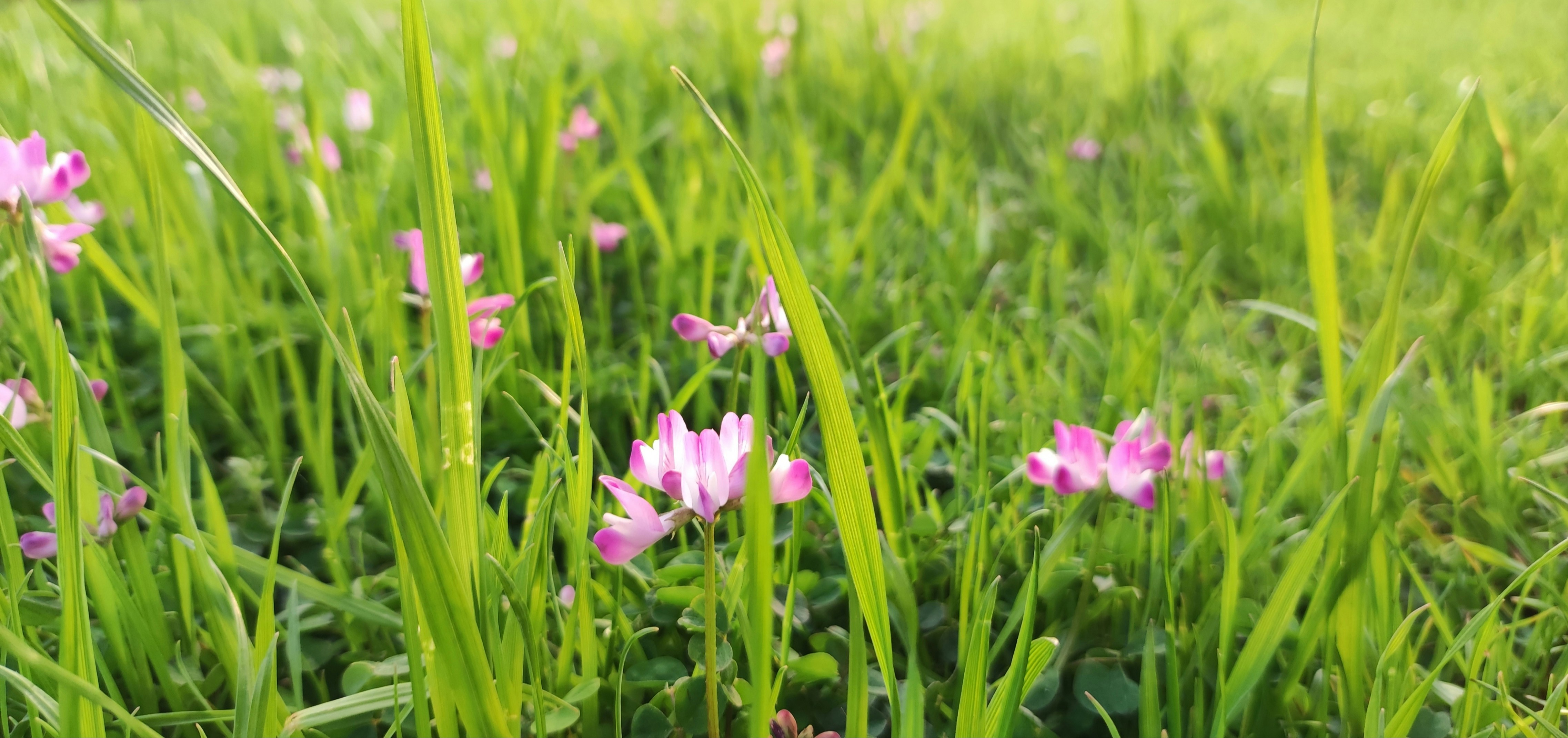 Photo by littlebright