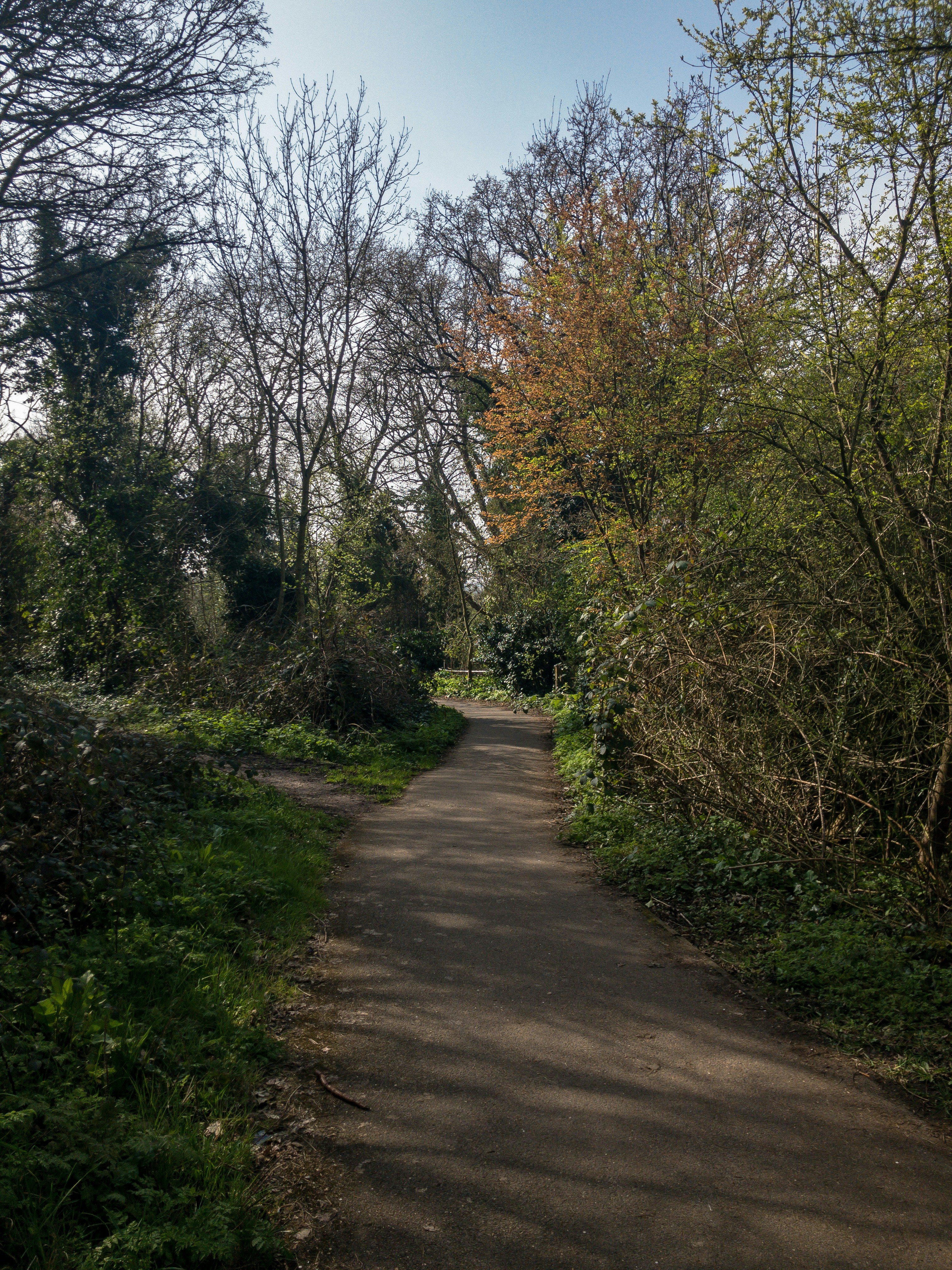 Photo by brett_jordan