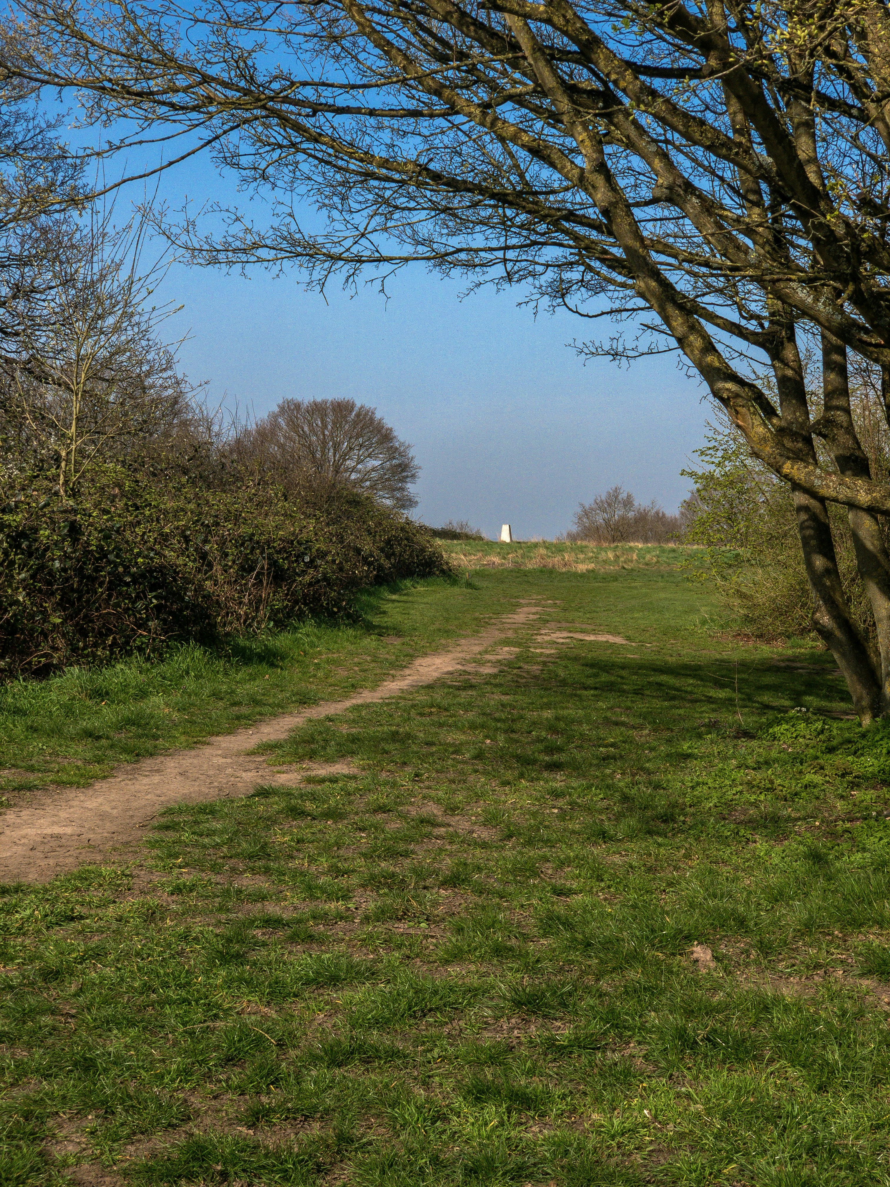 Photo by brett_jordan