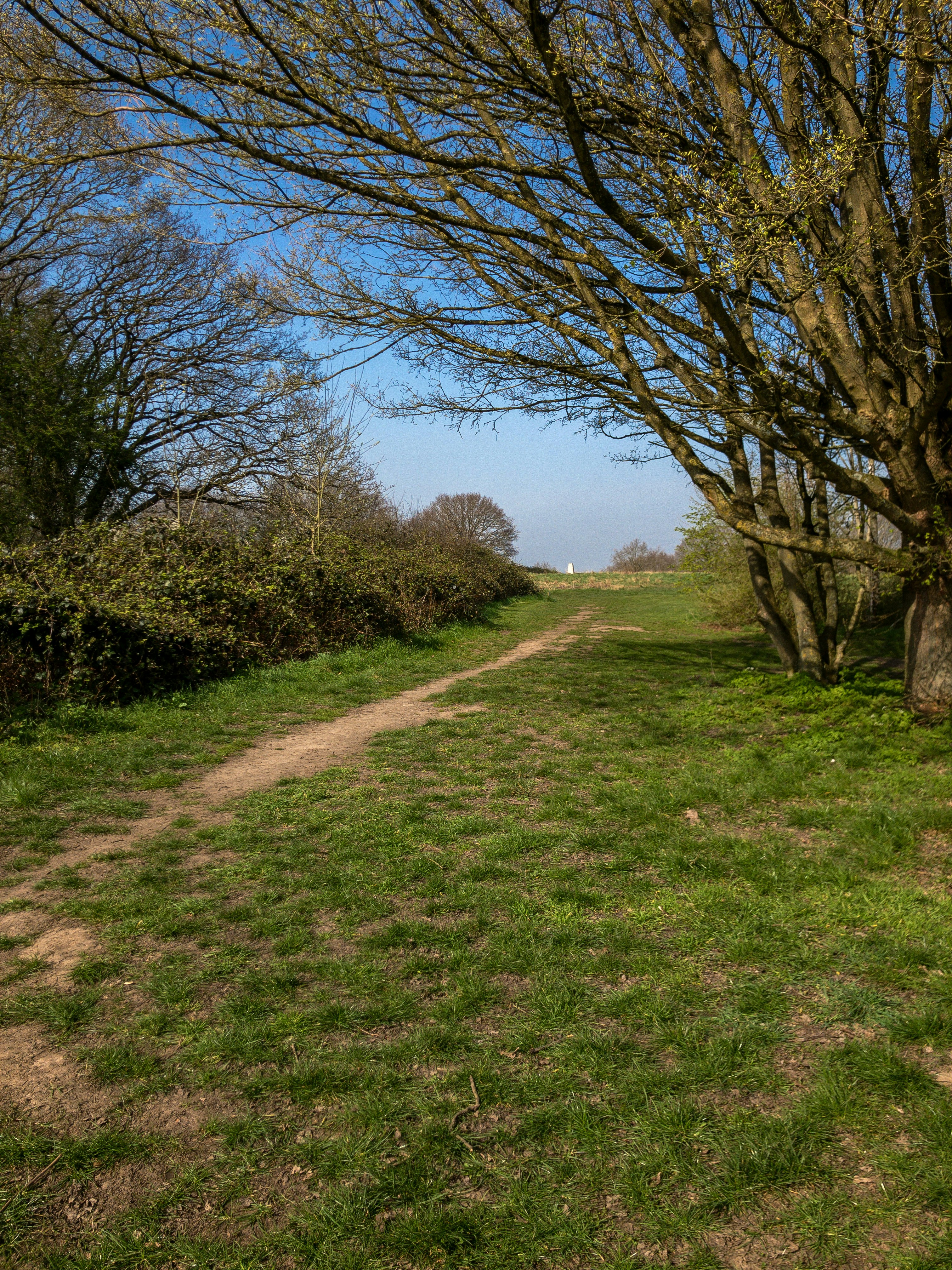 Photo by brett_jordan