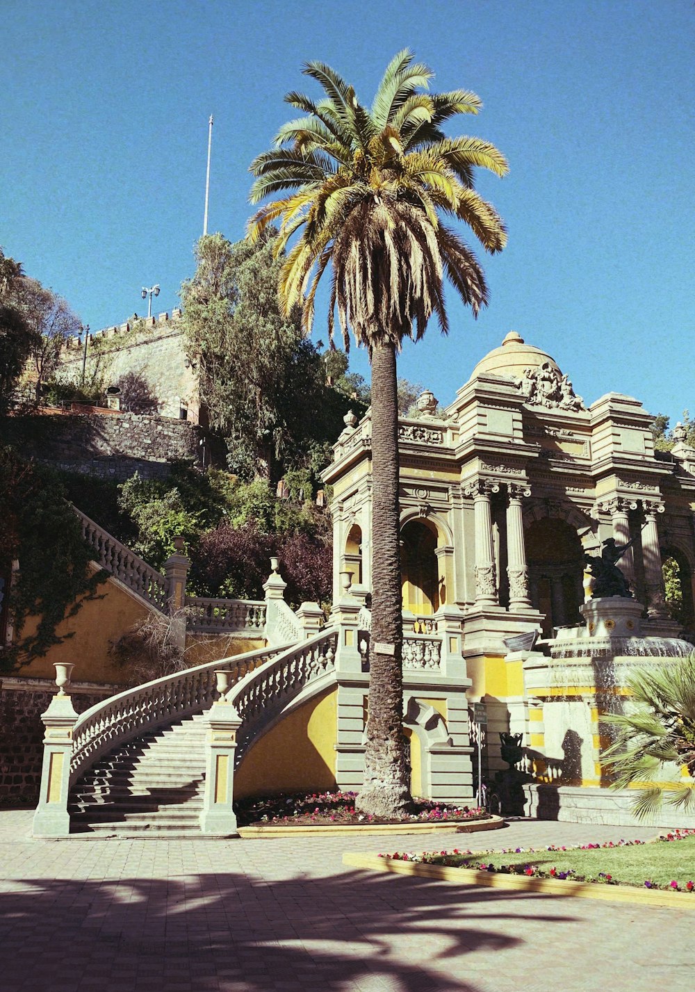 a tall palm tree sitting in front of a building