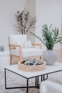 a living room filled with furniture and a plant