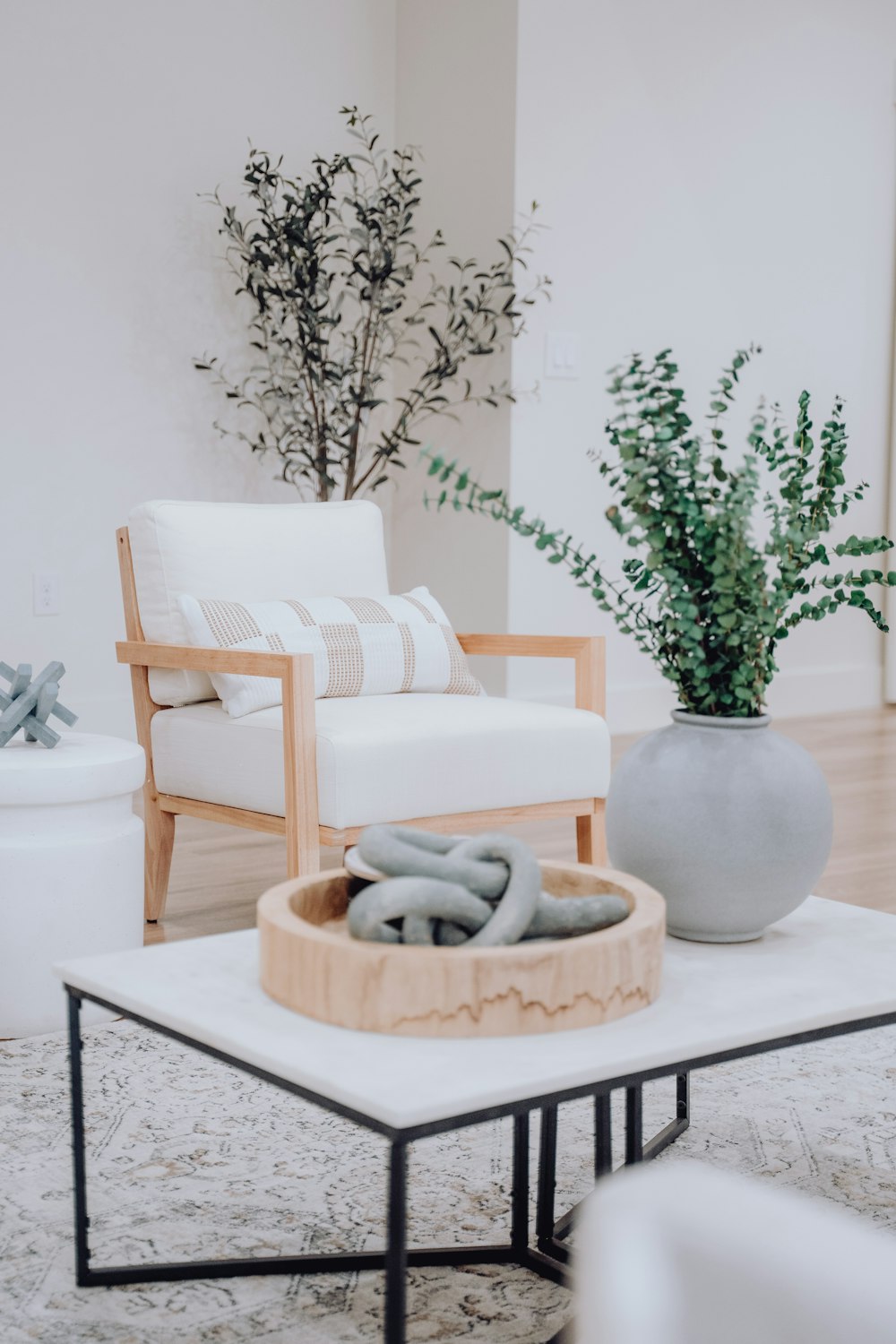 a living room filled with furniture and a plant