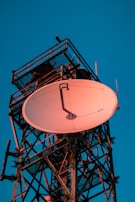 A large satellite dish attached to a metallic tower structure stands against a clear blue sky, partially illuminated by sunlight. The intricate lattice of the tower provides structural support for the dish, and there is a bird perched on the top railing.