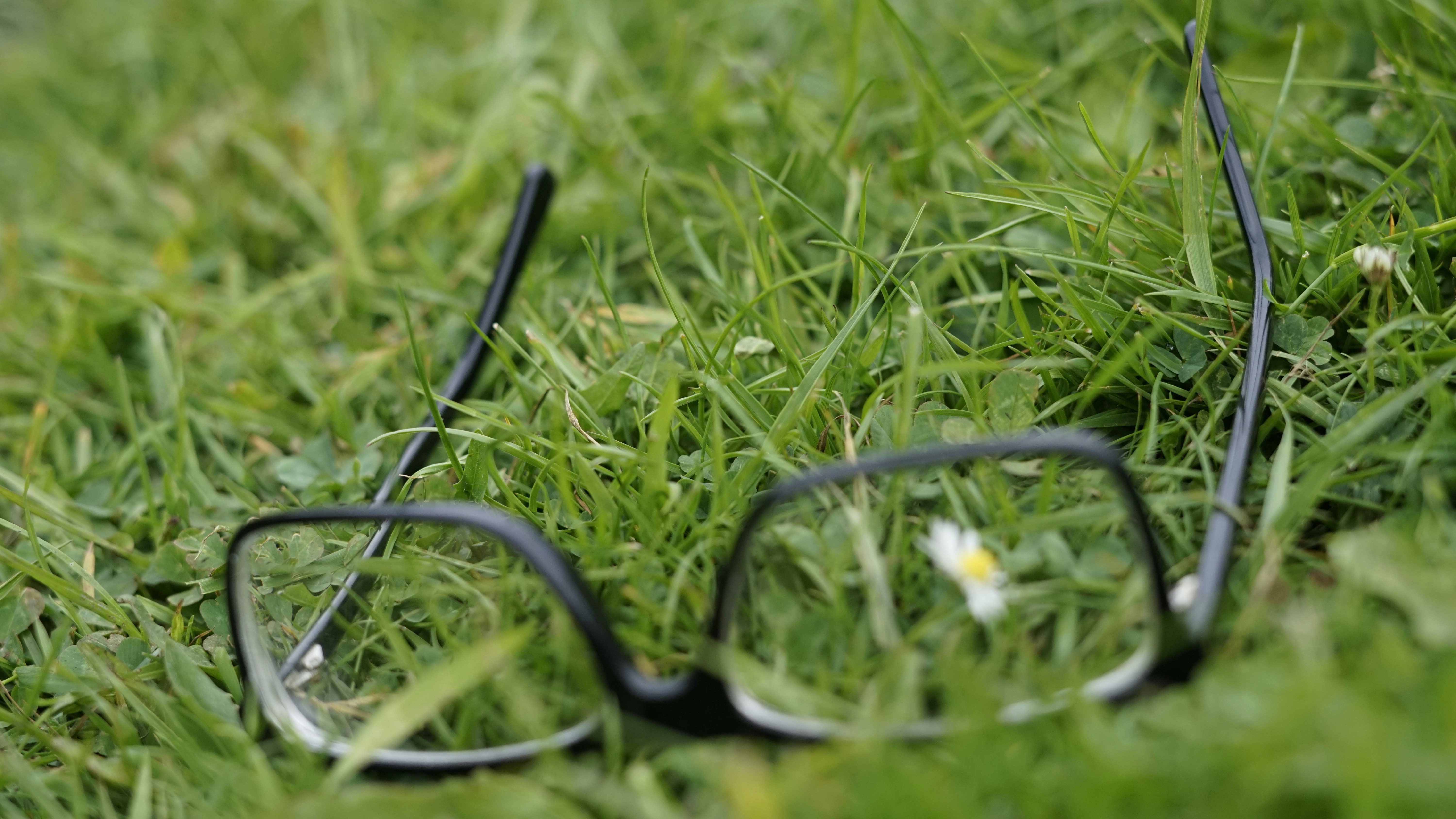 a pair of glasses laying in the grass